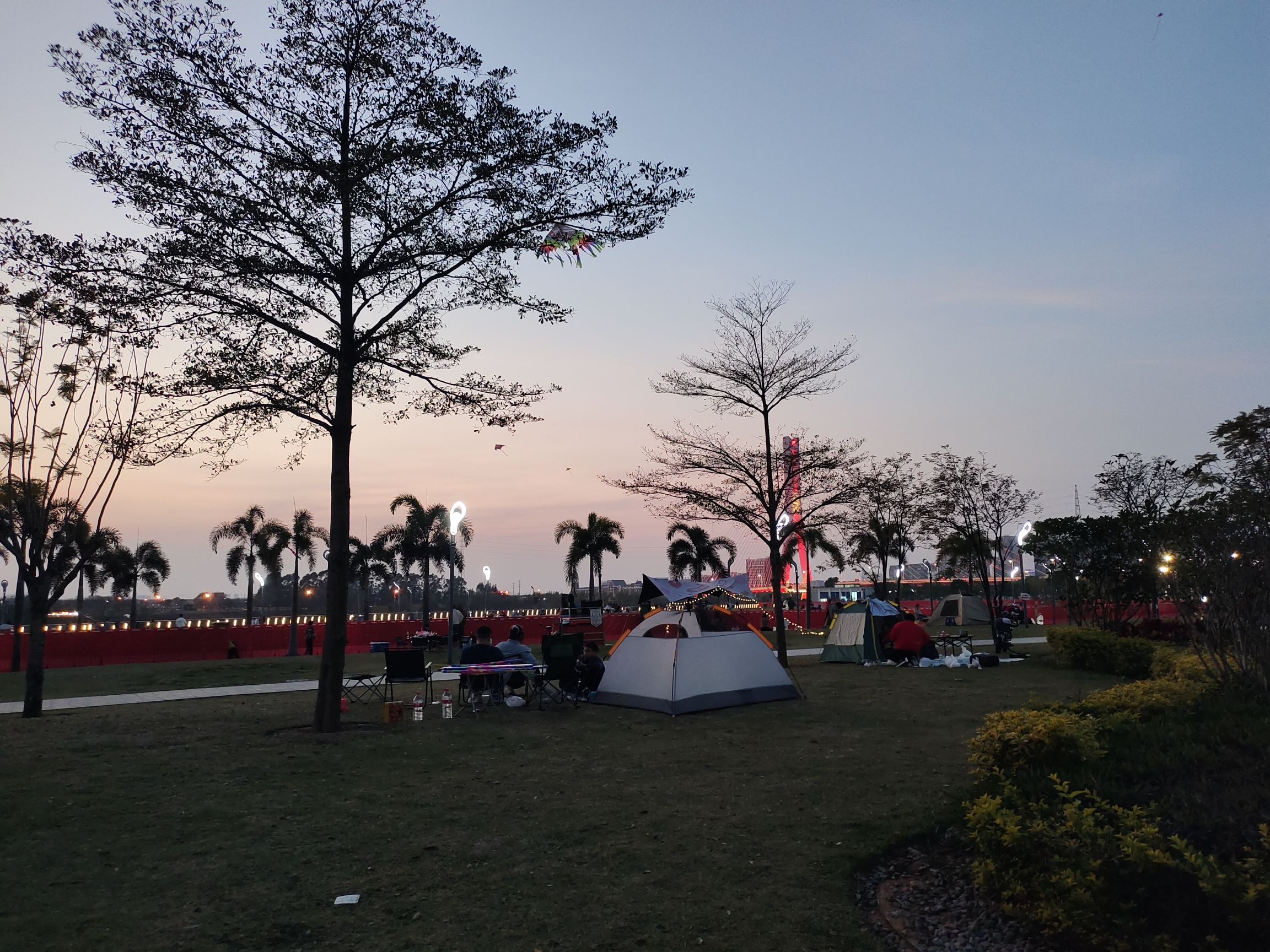 佛山青年公园旅行图片 2