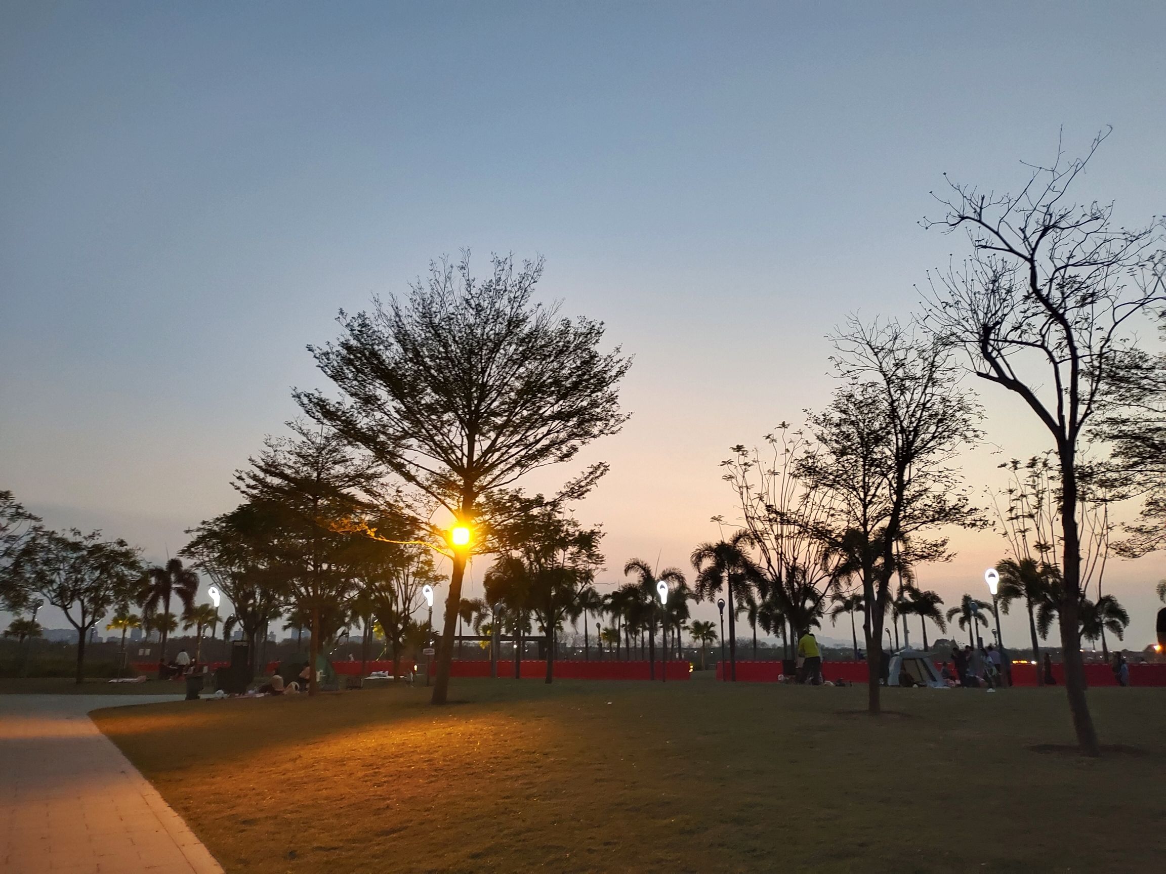 佛山青年公园旅行图片 1