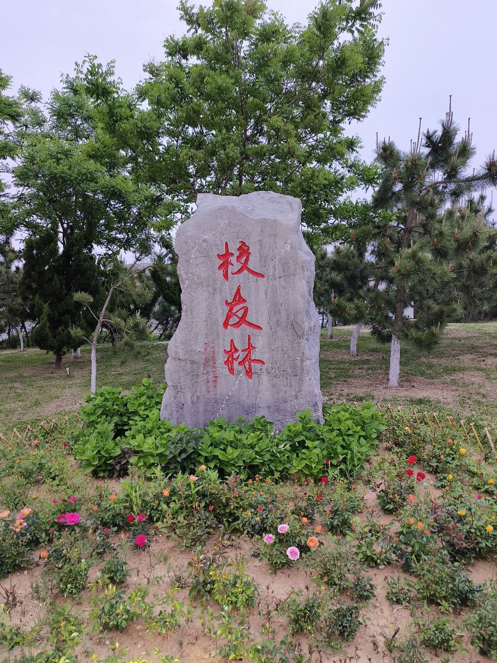 北京交通大学(威海校区)校友林