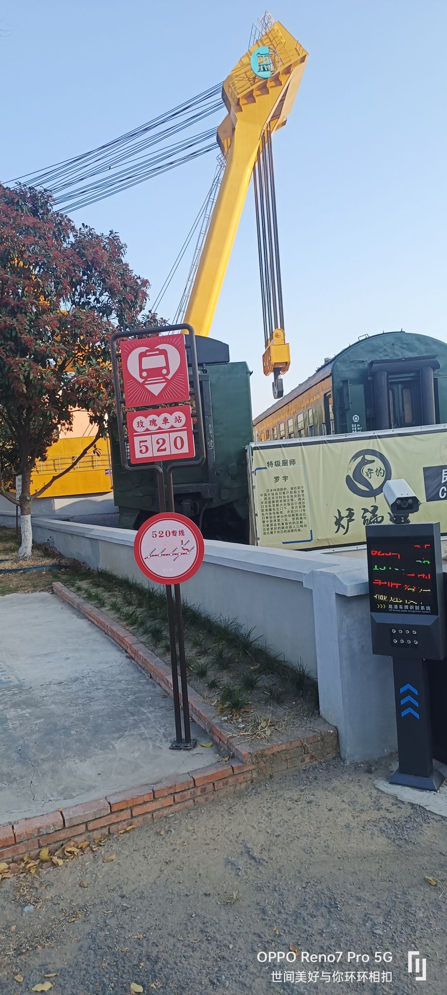 520玫瑰车站旅行图片 3