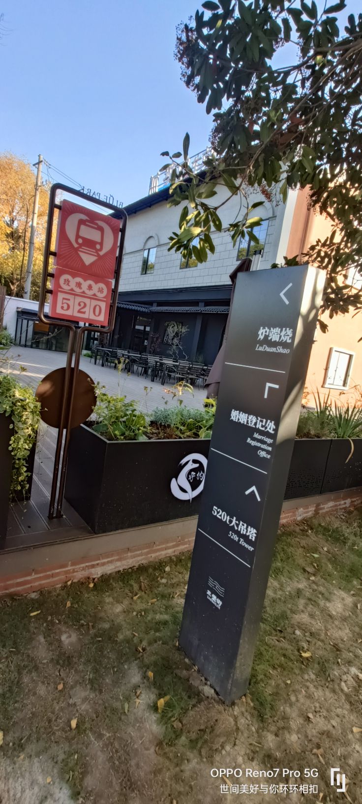 520玫瑰车站旅行图片 2