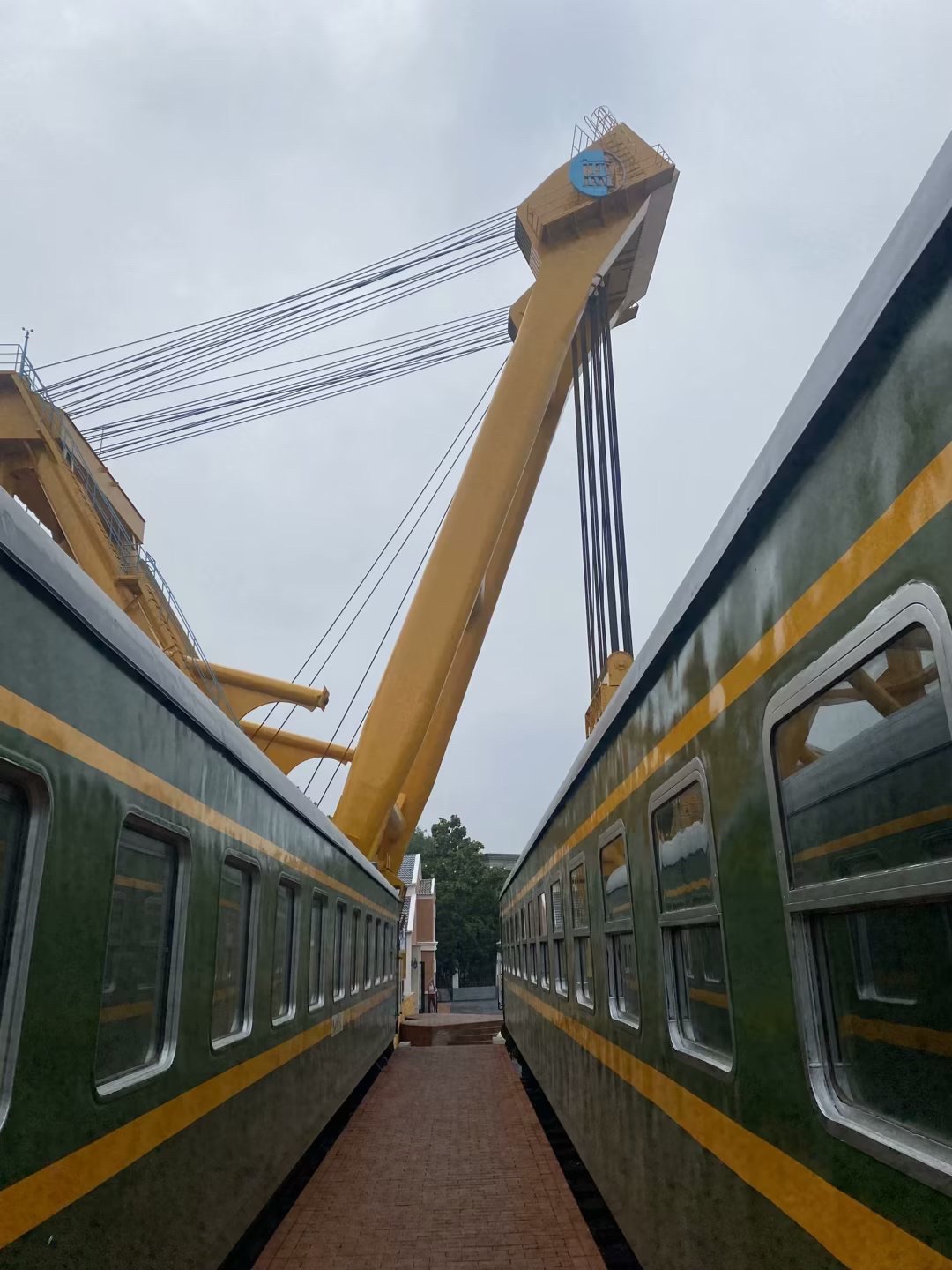 520玫瑰车站旅行图片 3