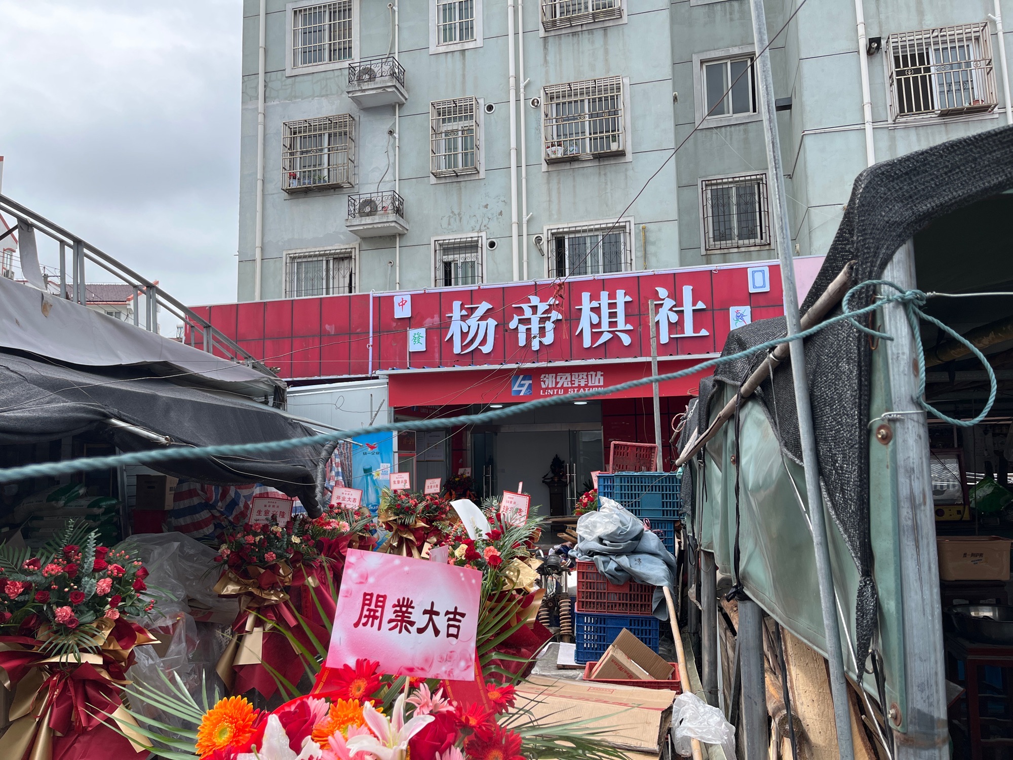 场地封面-杨帝棋社