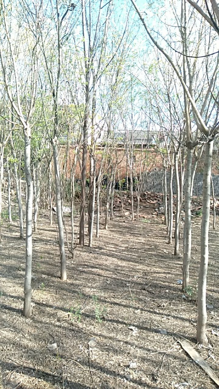 劳动主题公园旅行图片 1