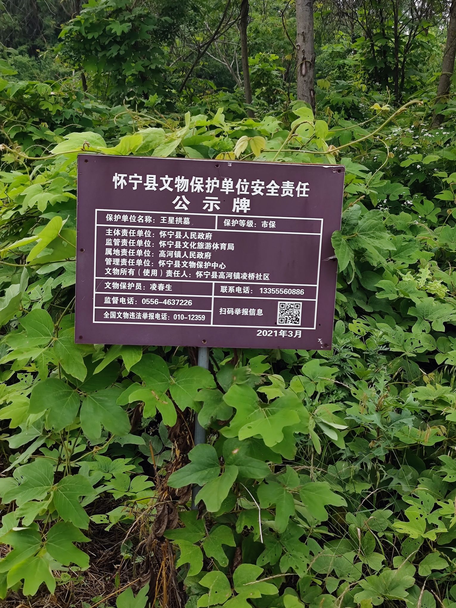 王星拱墓旅行图片 2