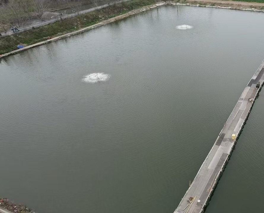 田塘村休闲钓场