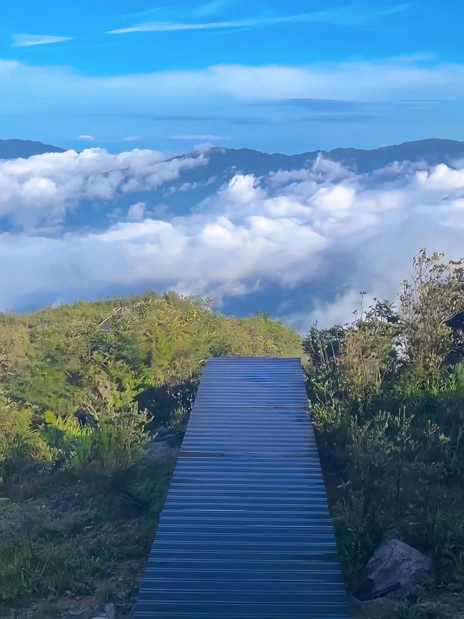 青娥山旅行图片 3