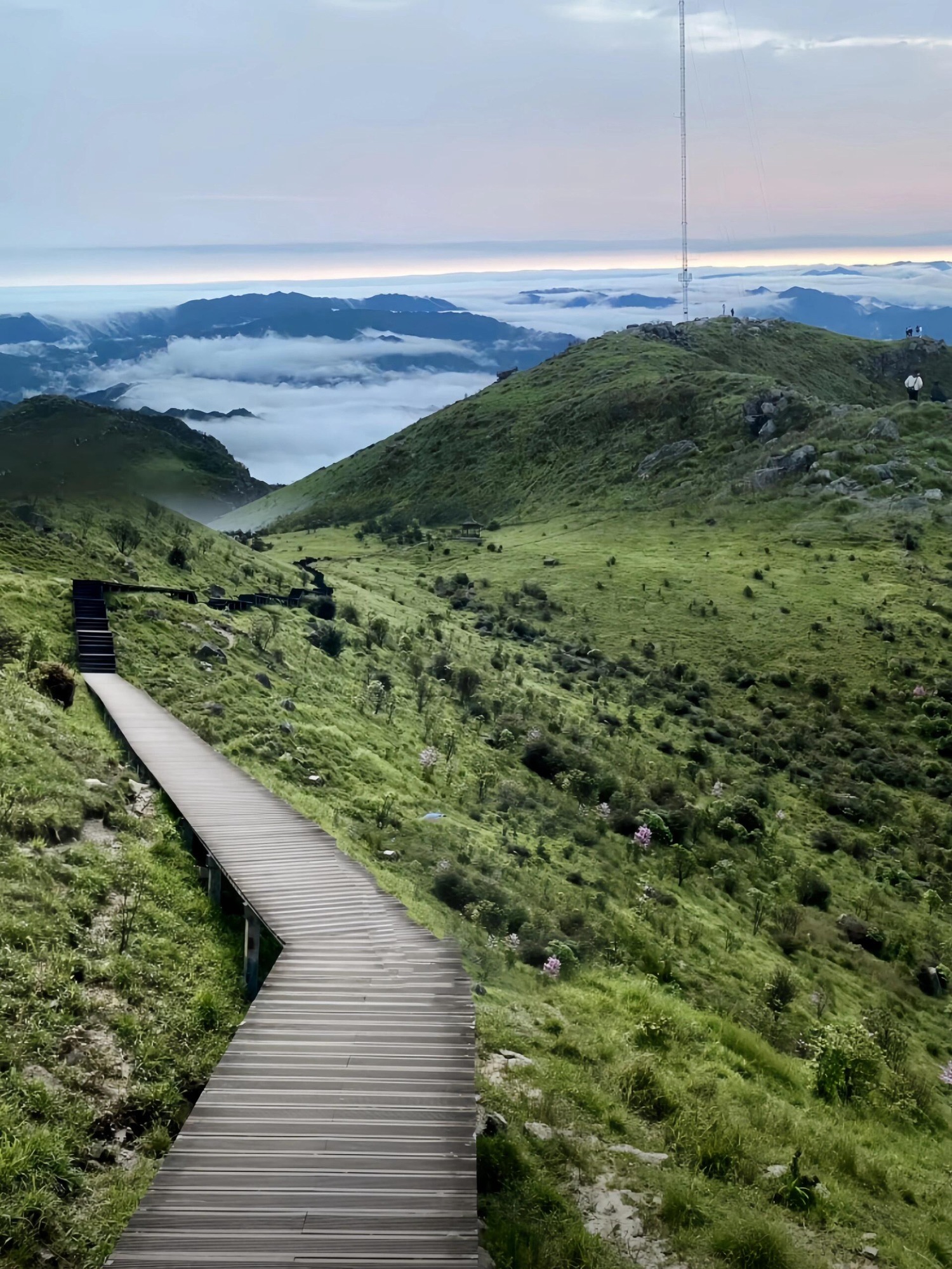 青娥山旅行图片 1