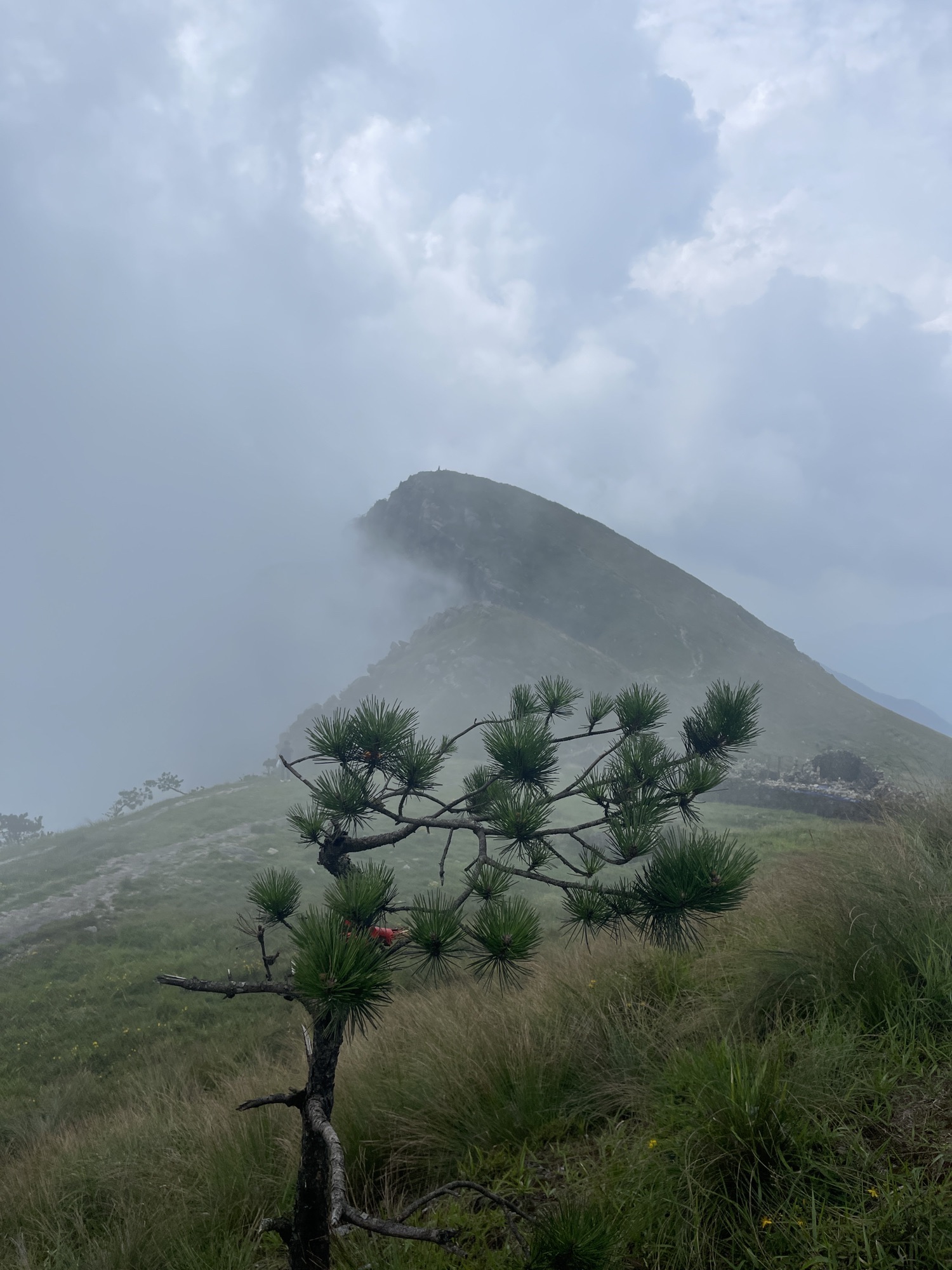 青娥山旅行图片 1