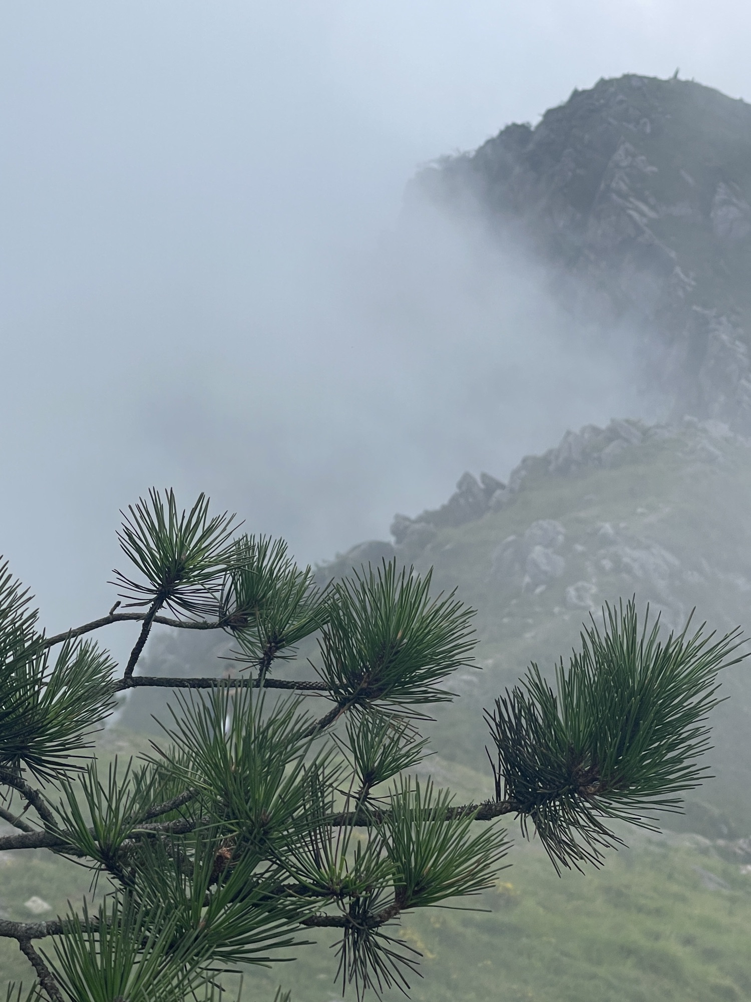 青娥山旅行图片 2