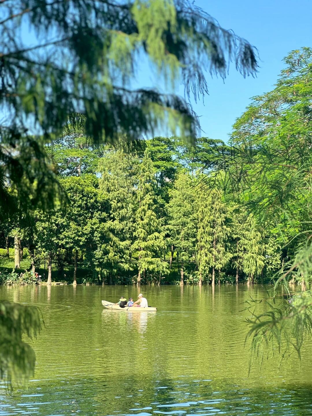 大墩水车公园旅行图片 3