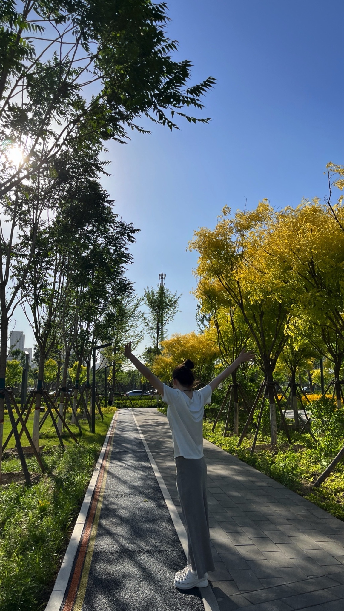 保定拾光公园旅行图片 2