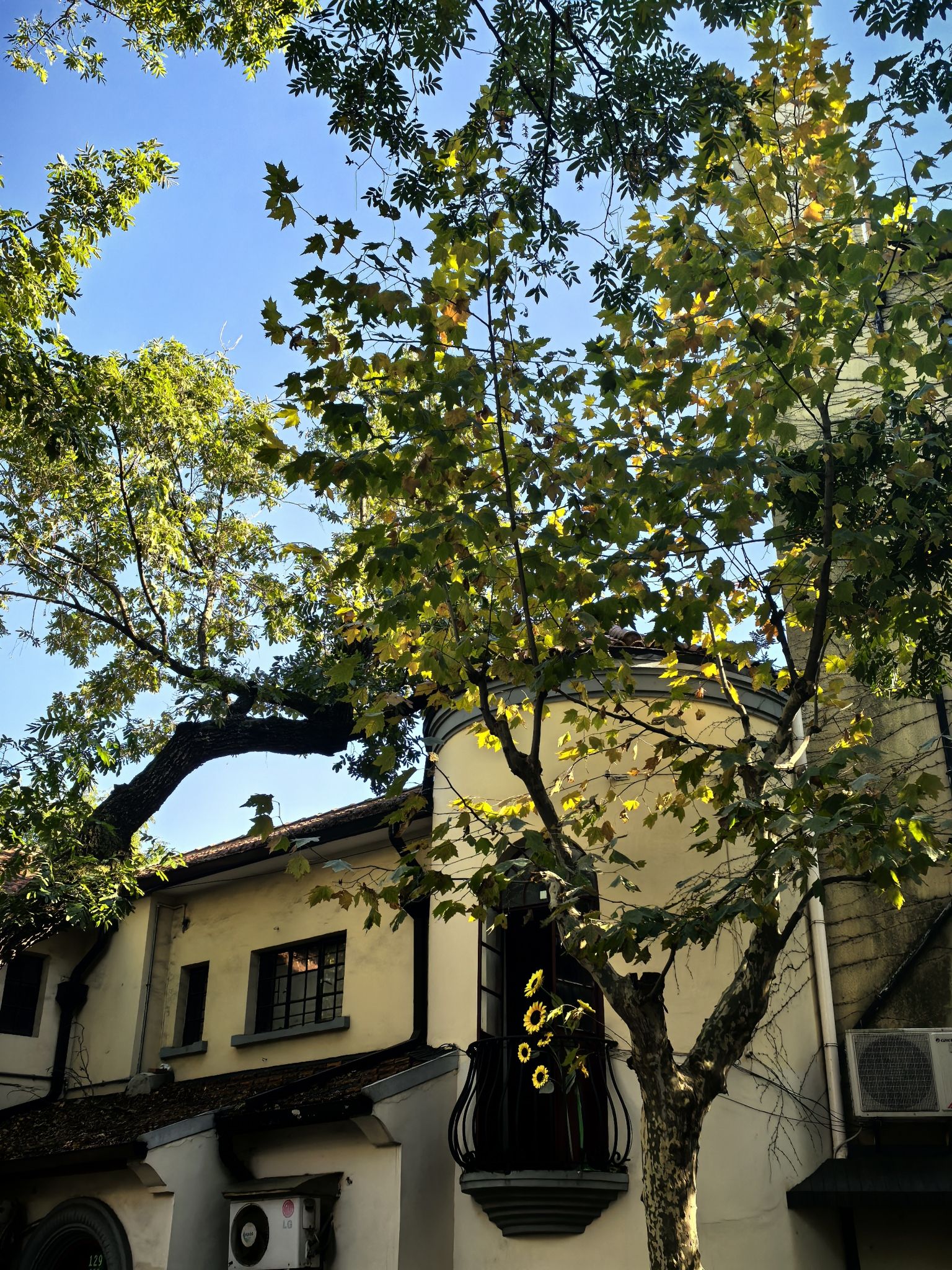 罗密欧阳台旅行图片 3