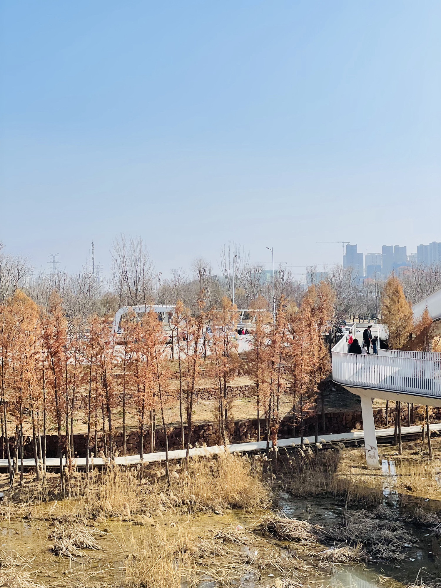 东风渠生态文化公园旅行图片 3