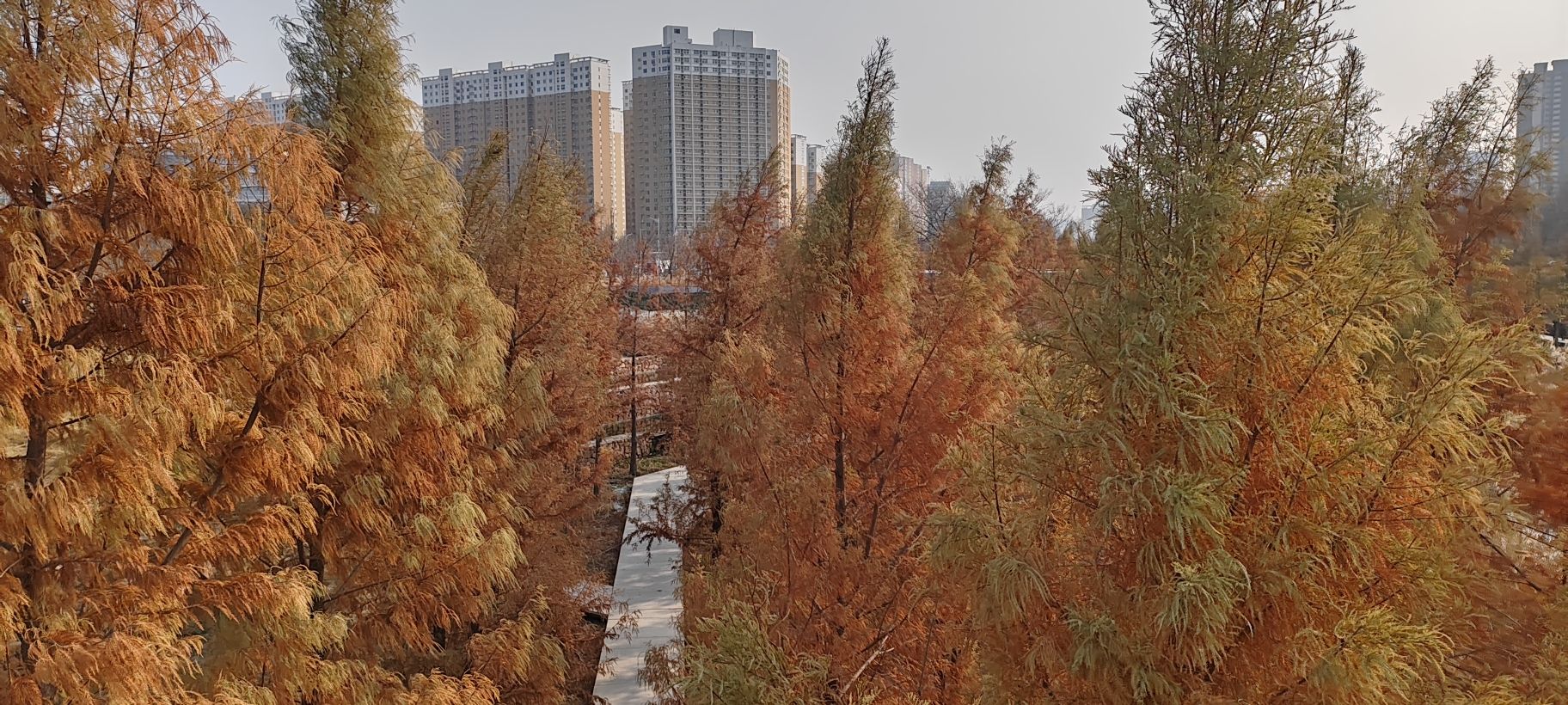东风渠生态文化公园旅行图片 1