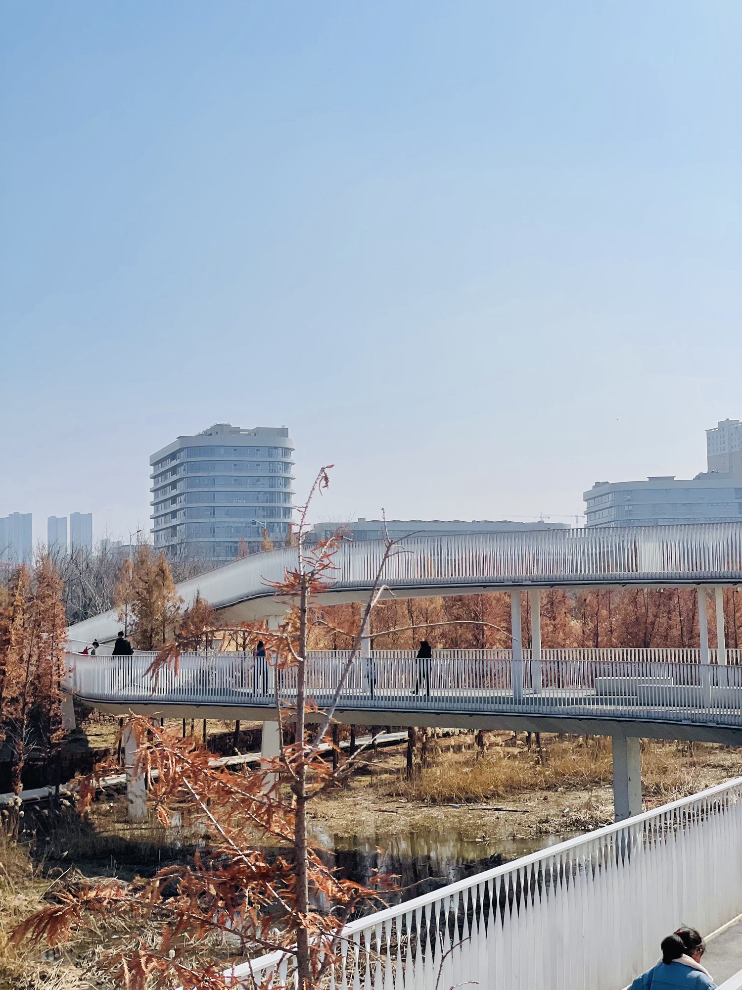 东风渠生态文化公园旅行图片 1