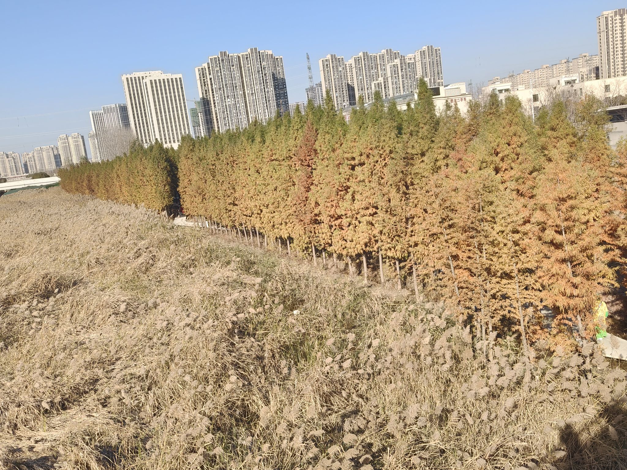 东风渠生态文化公园旅行图片 1