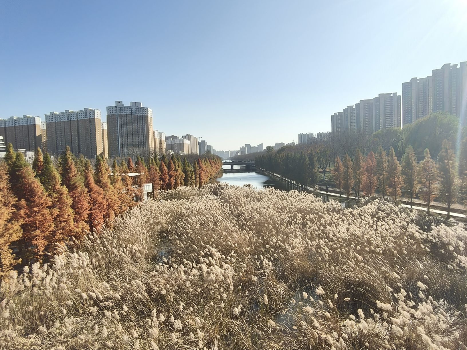东风渠生态文化公园旅行图片 2