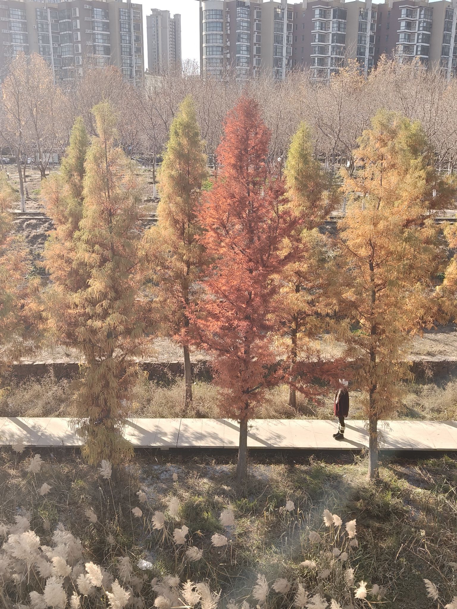 东风渠生态文化公园旅行图片 3