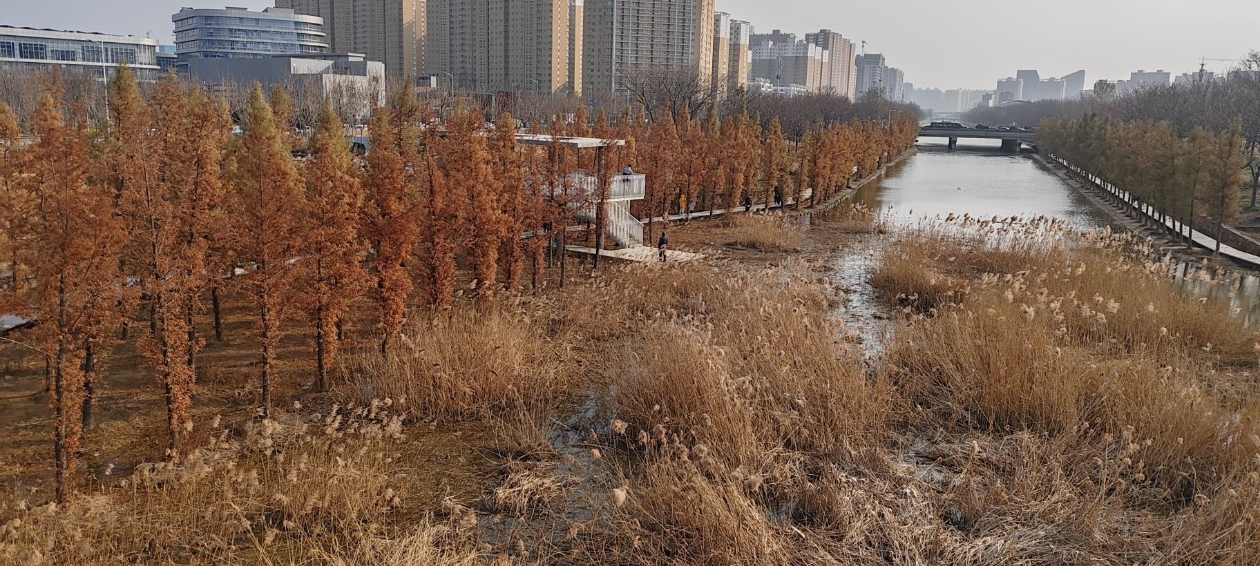 东风渠生态文化公园旅行图片 2