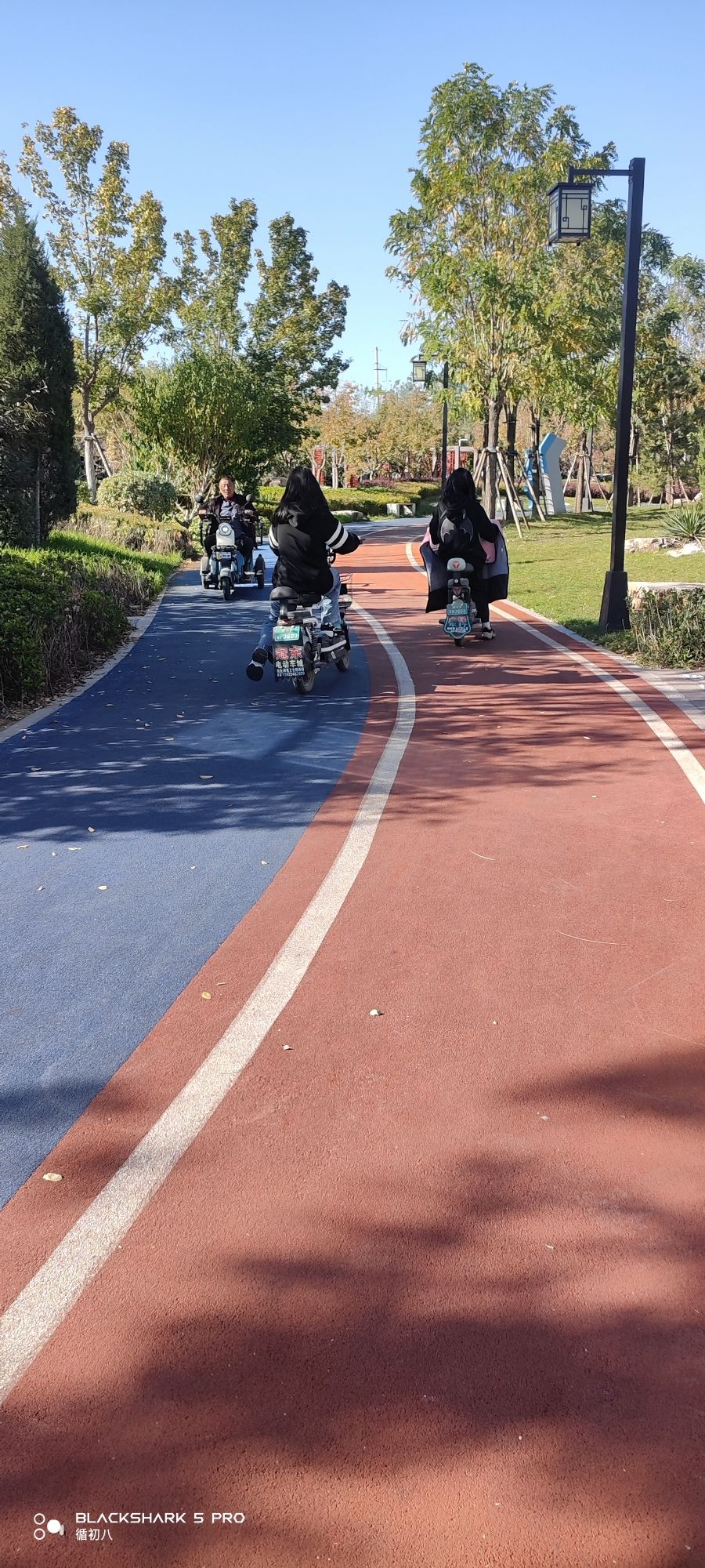 涿州楼桑公园旅行图片 2