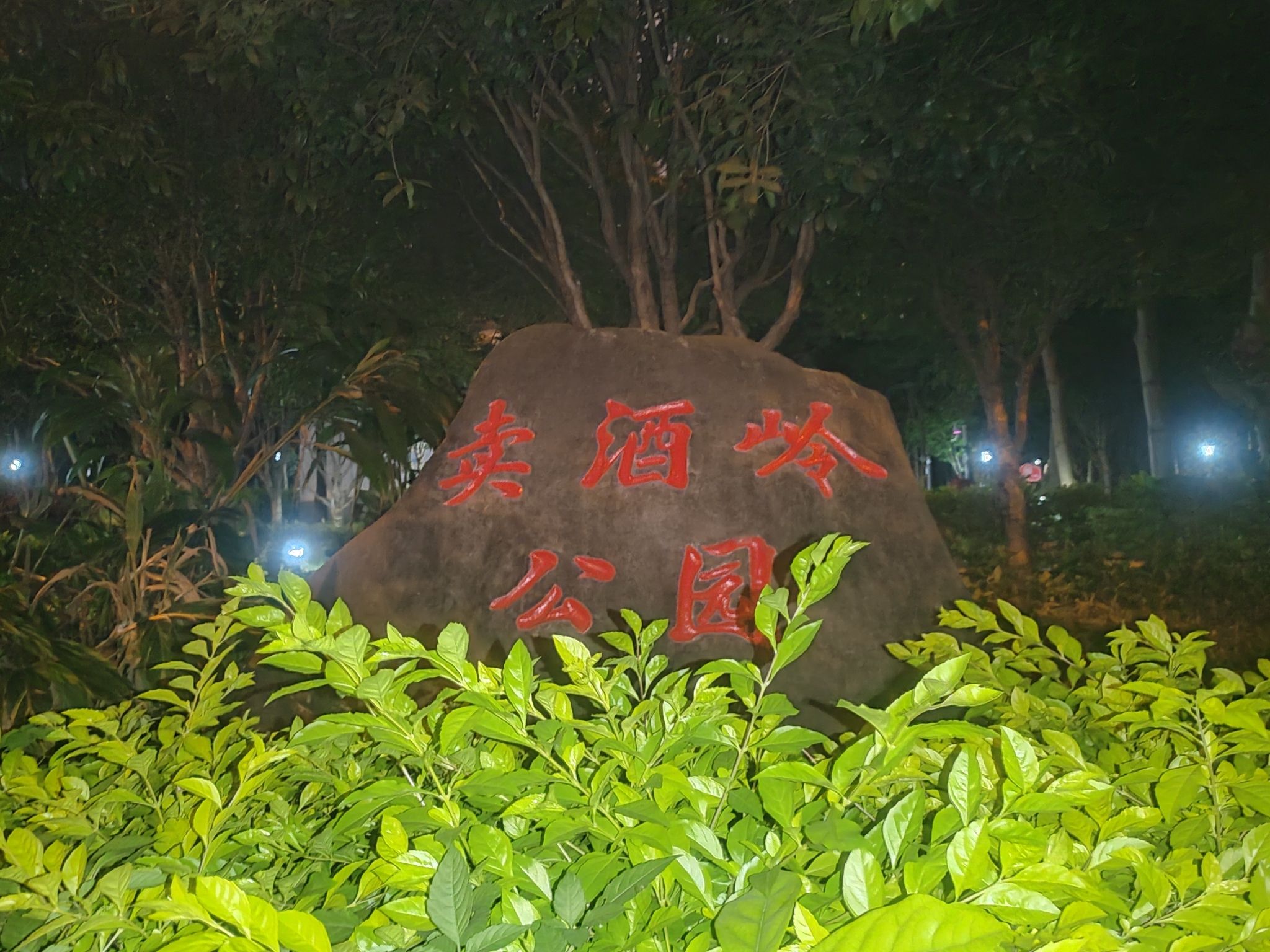 卖酒岭公园旅行图片 1