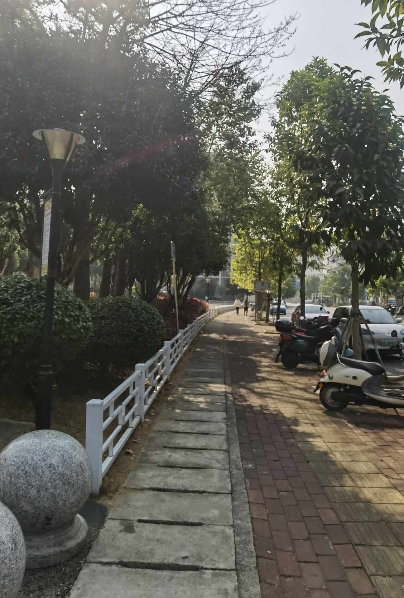 卖酒岭公园旅行图片 3