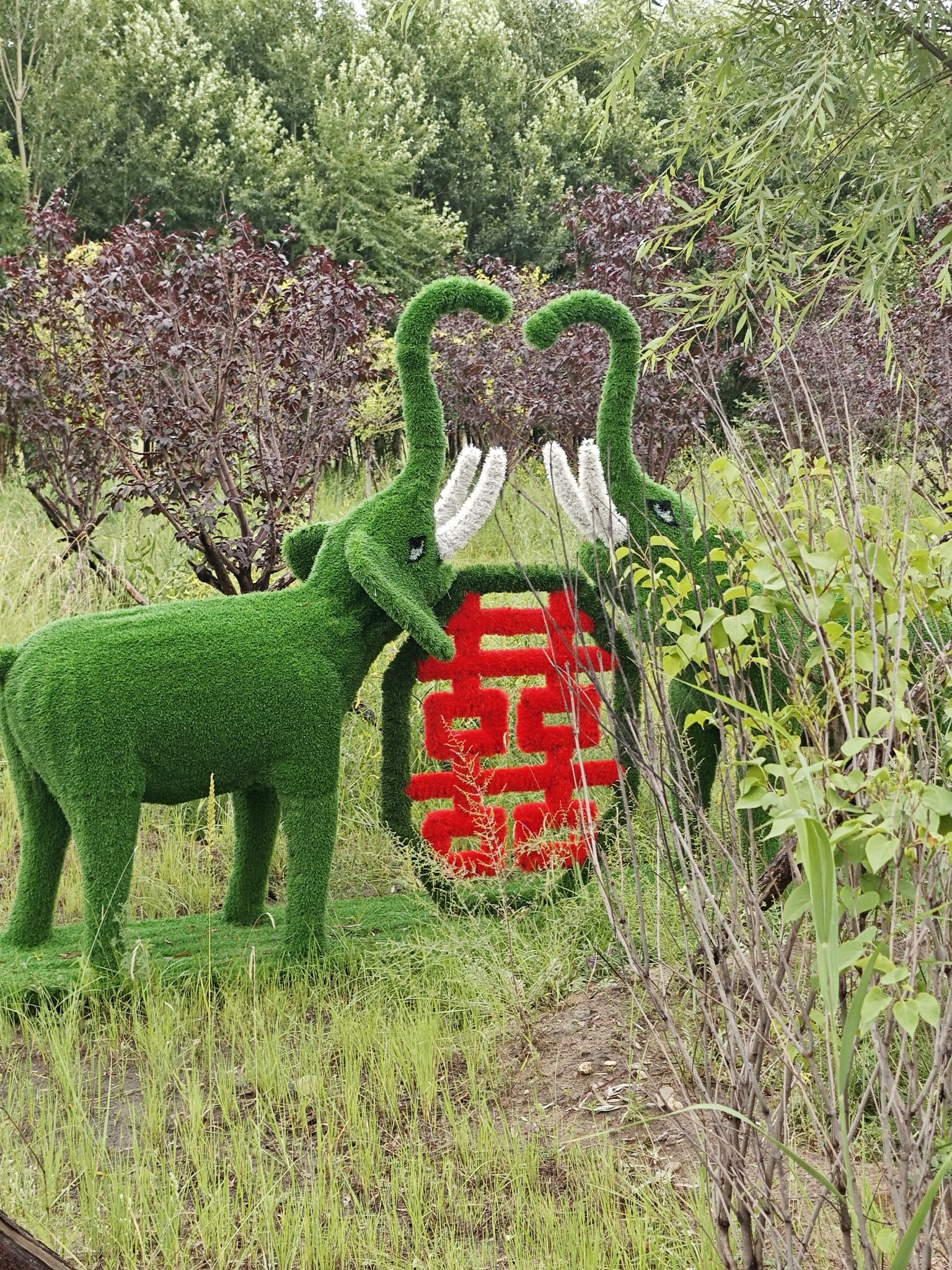 三河缘景区旅行图片 2