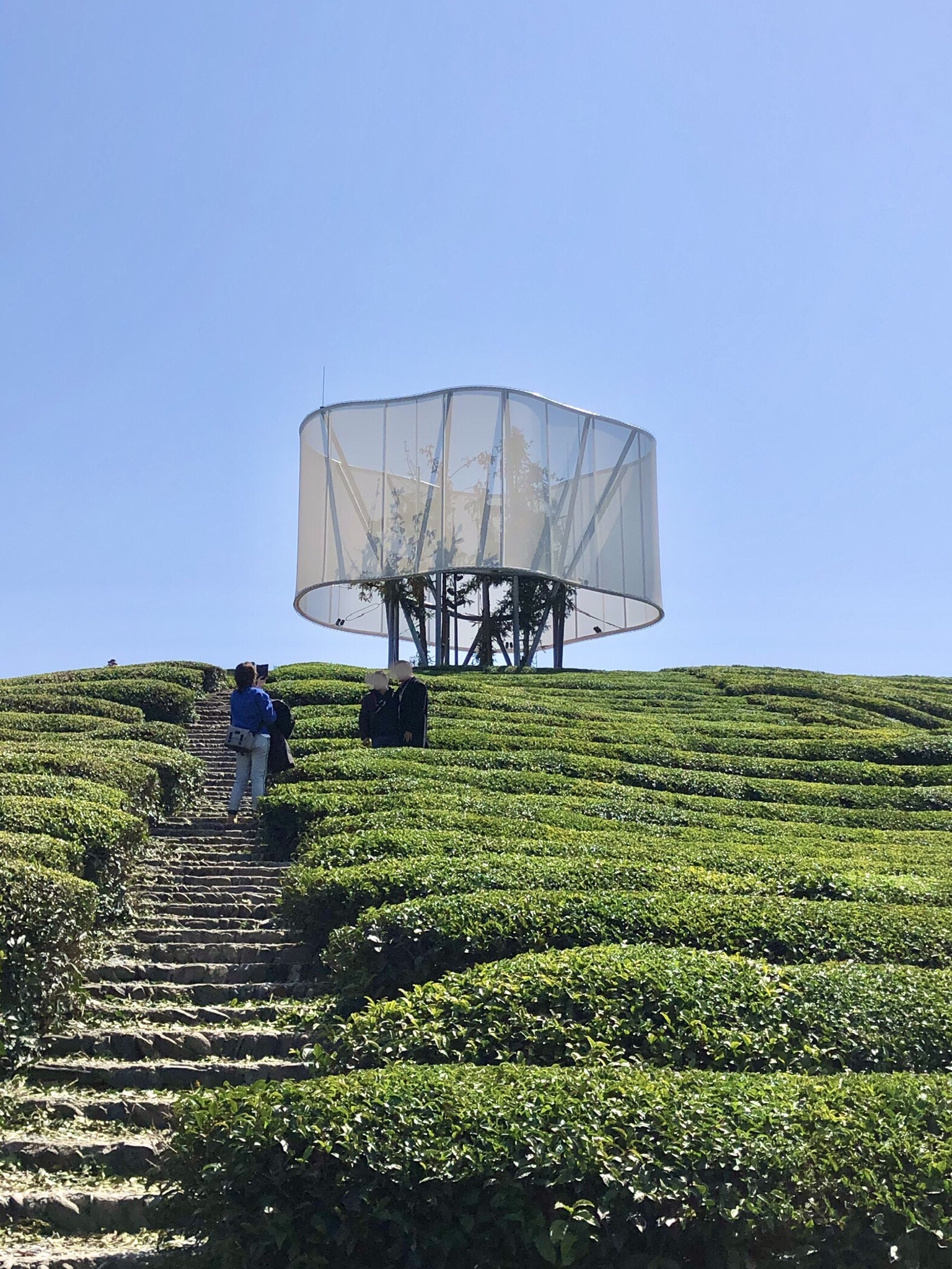 大地之灯旅行图片 2