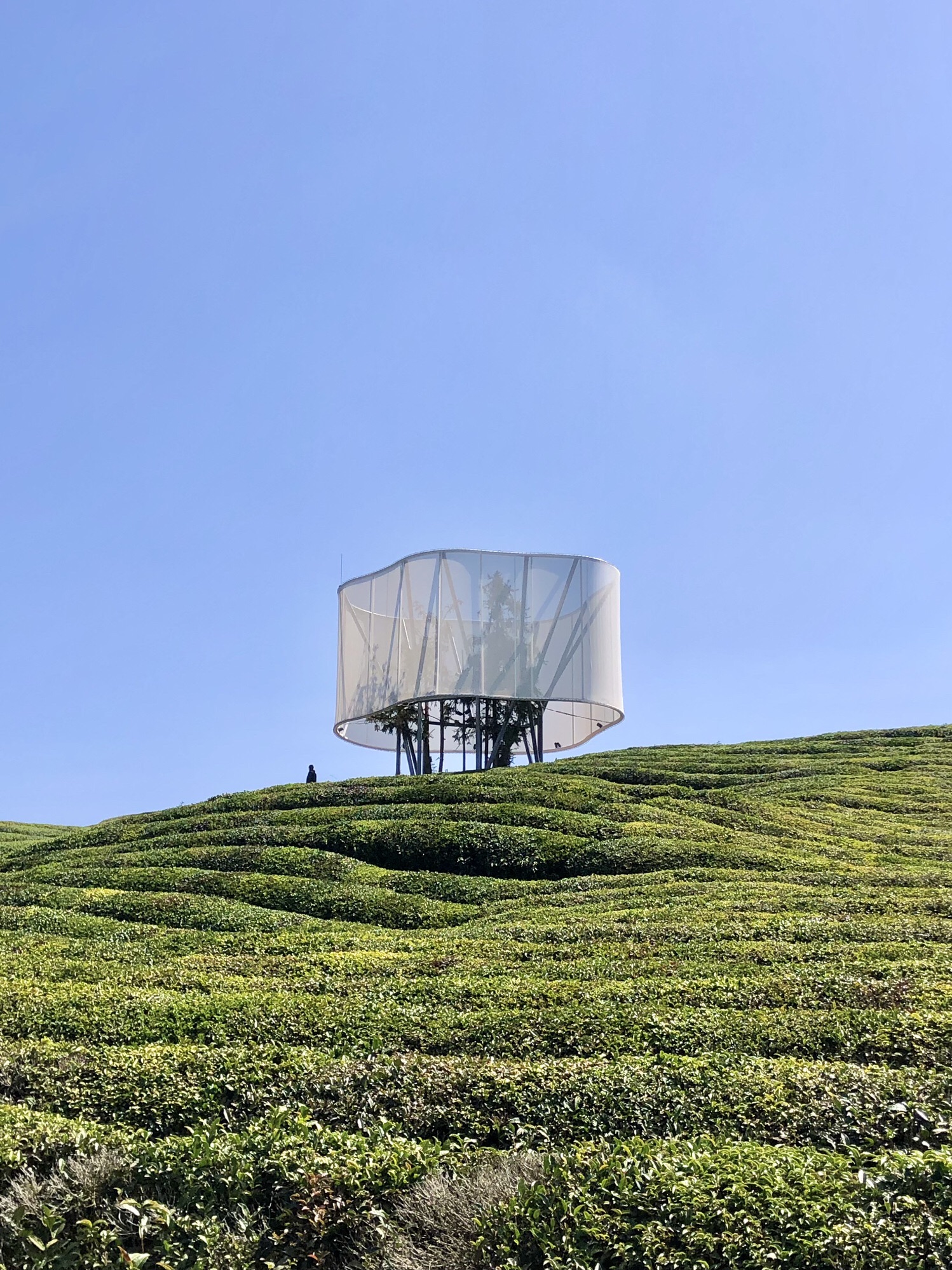 大地之灯旅行图片 1