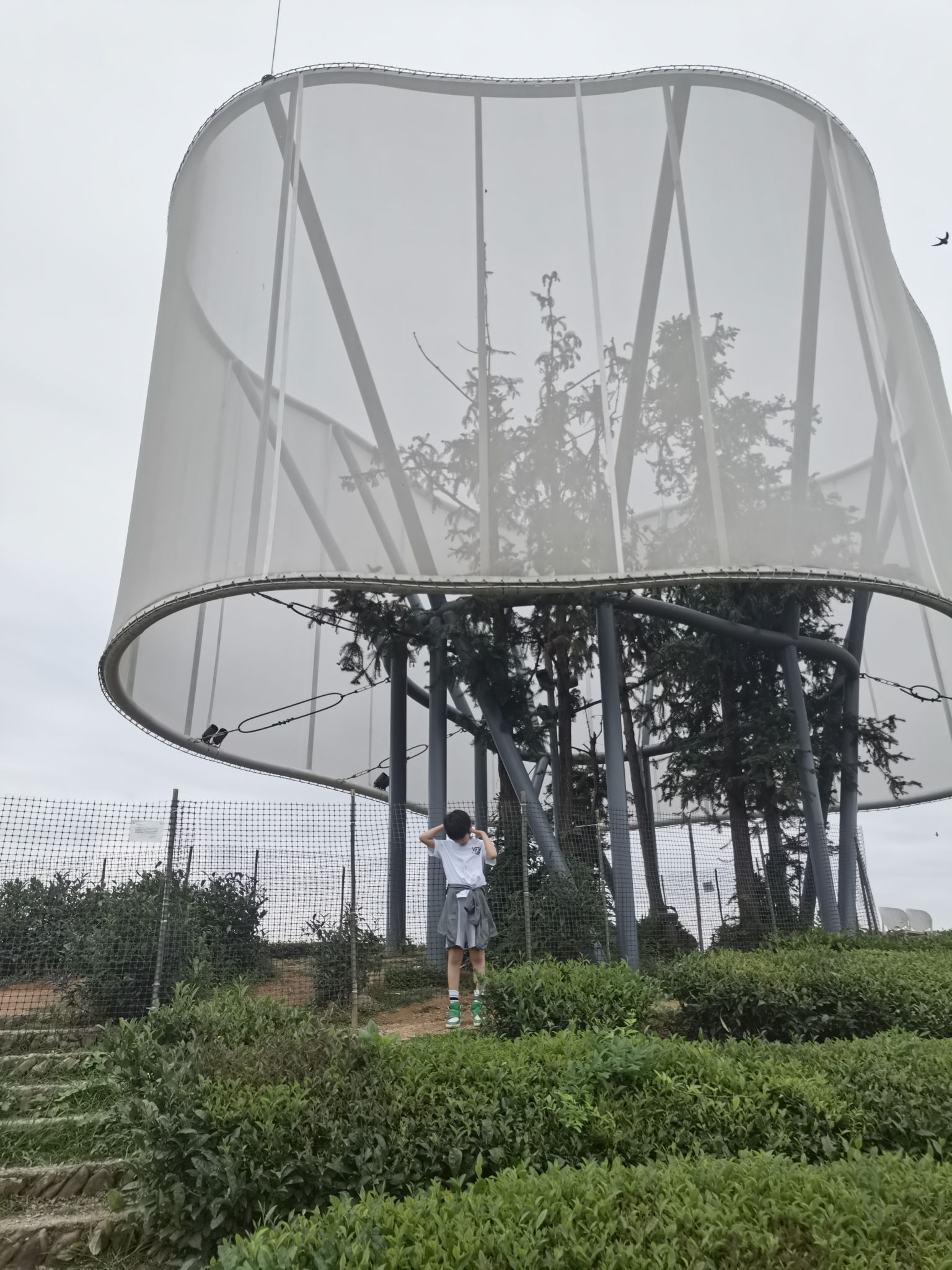 大地之灯旅行图片 2