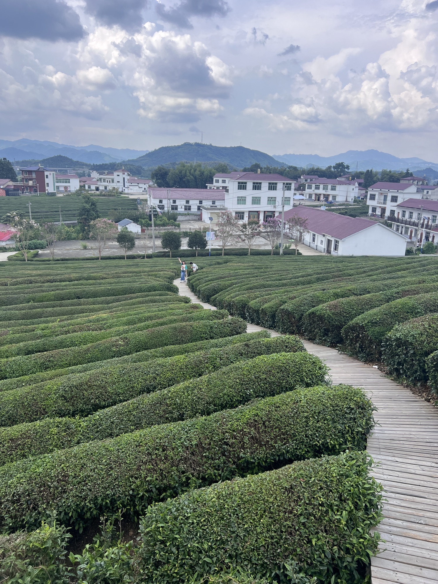 大地之灯旅行图片 2