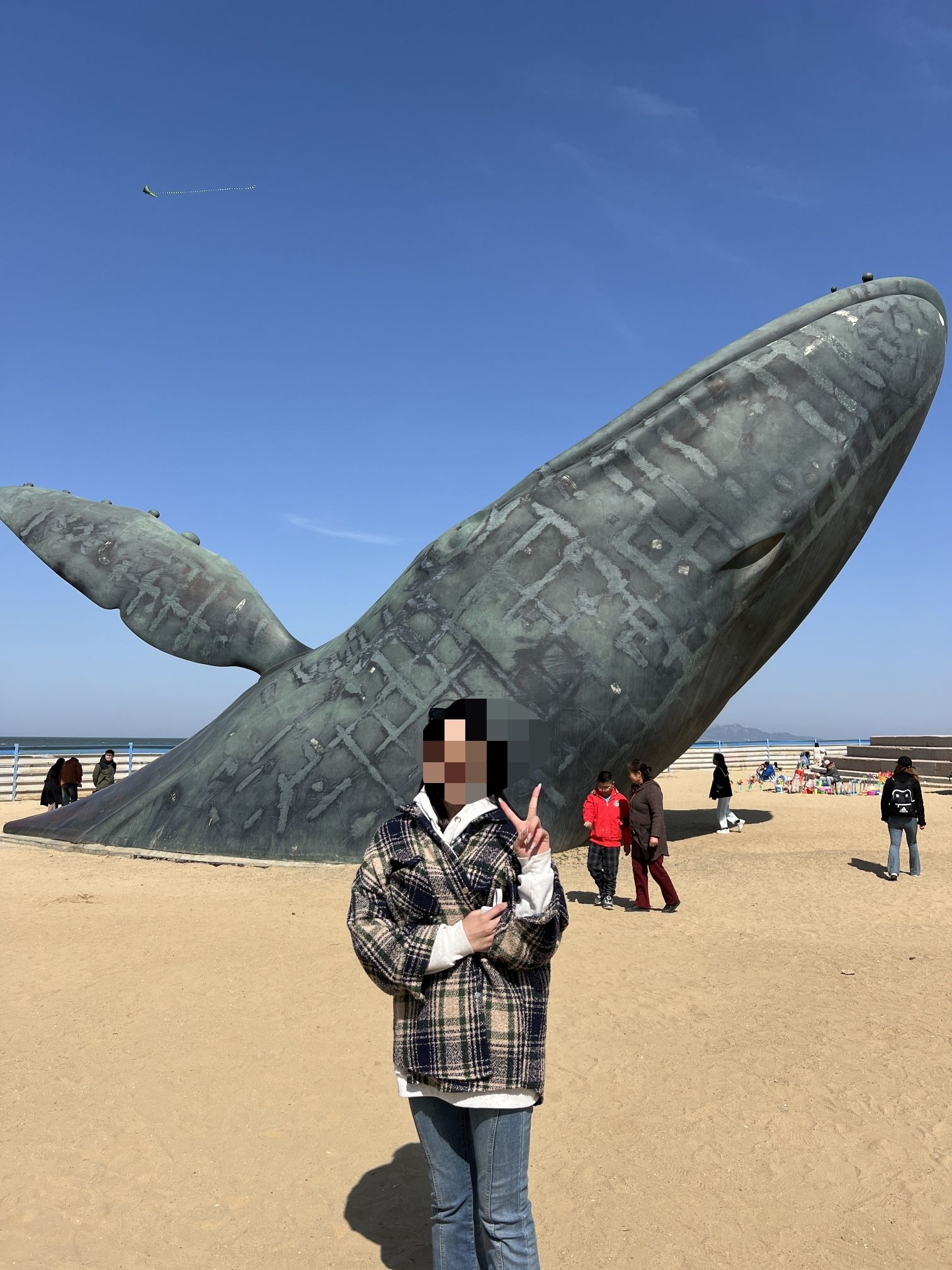 孤独的鲸旅行图片 3