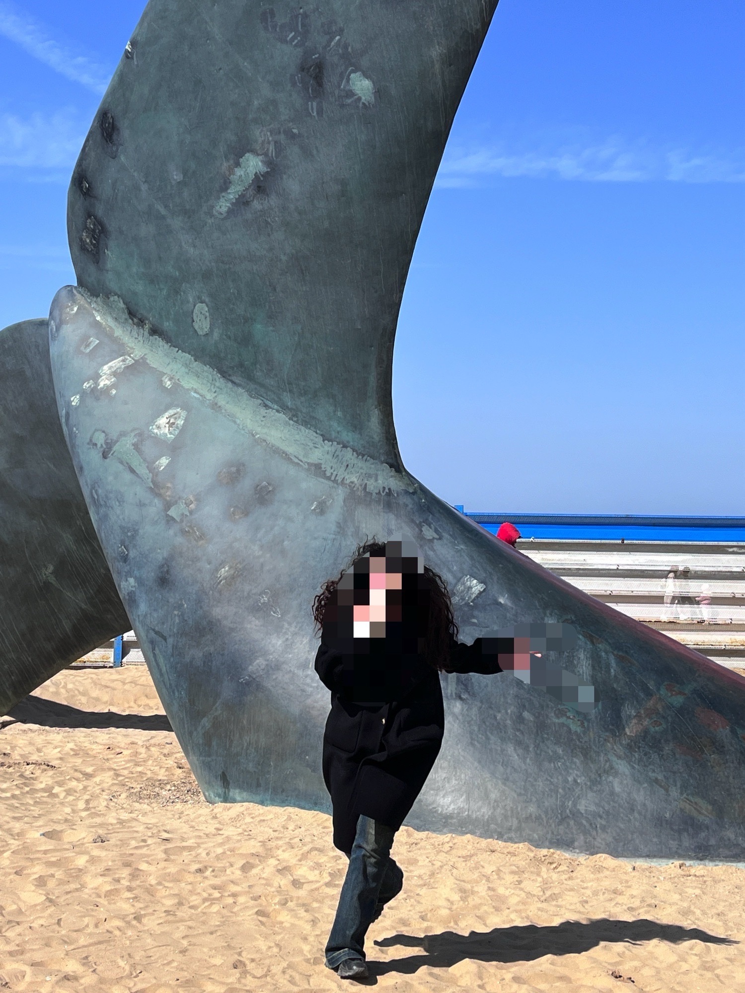孤独的鲸旅行图片 2