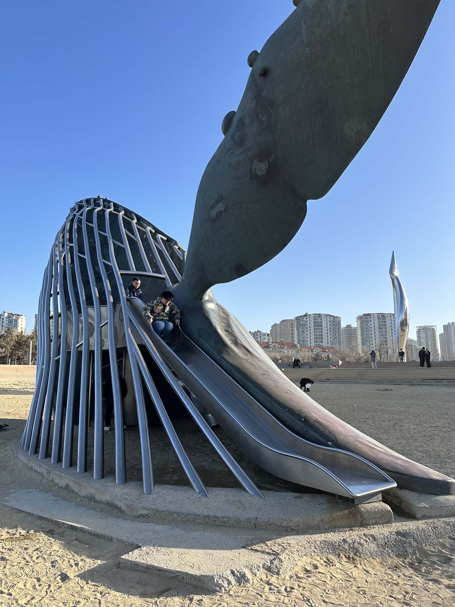 孤独的鲸旅行图片 2