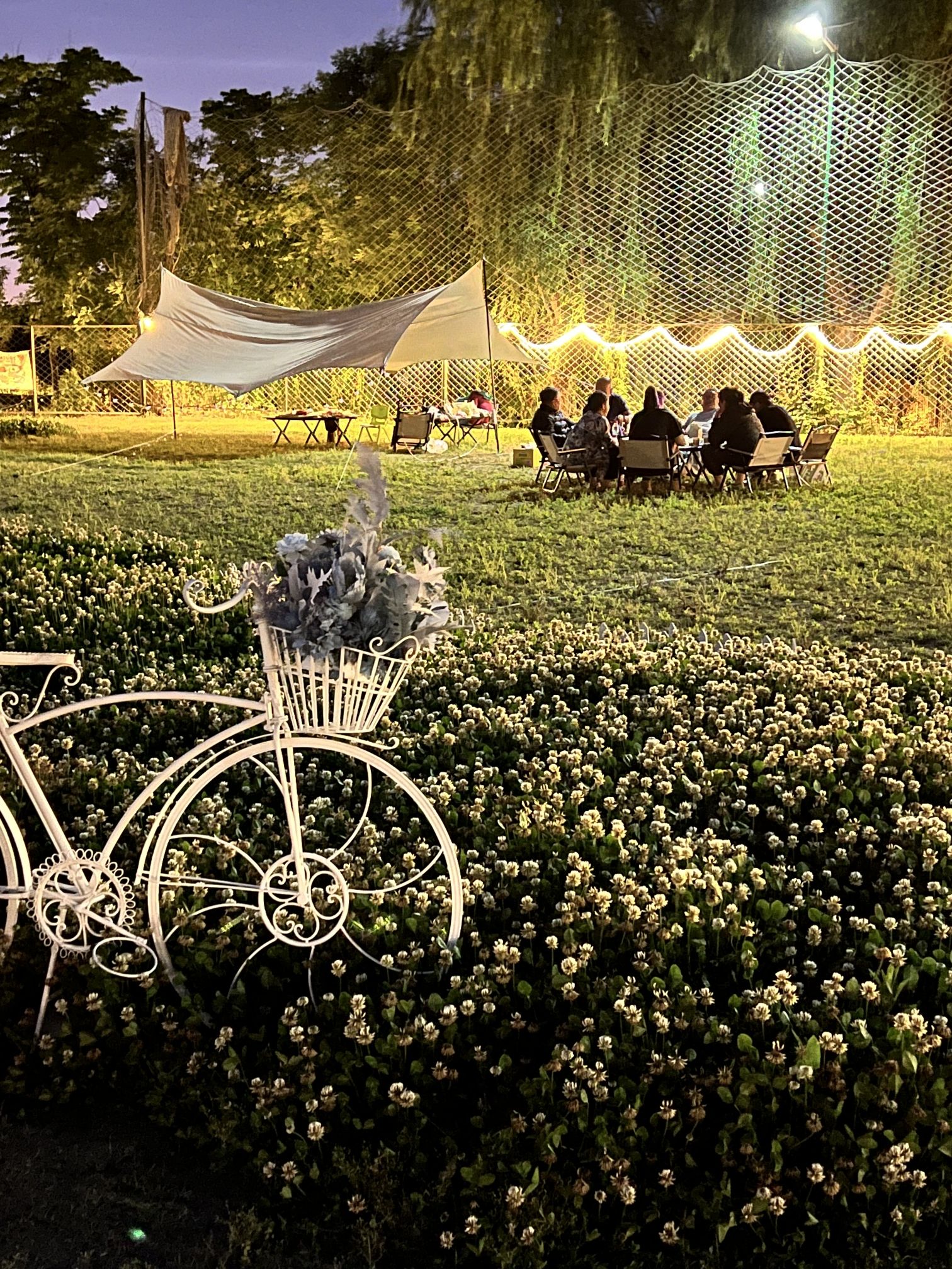 场地封面-东岭白鹿星光露营地