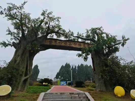 宝森柠檬旅游区