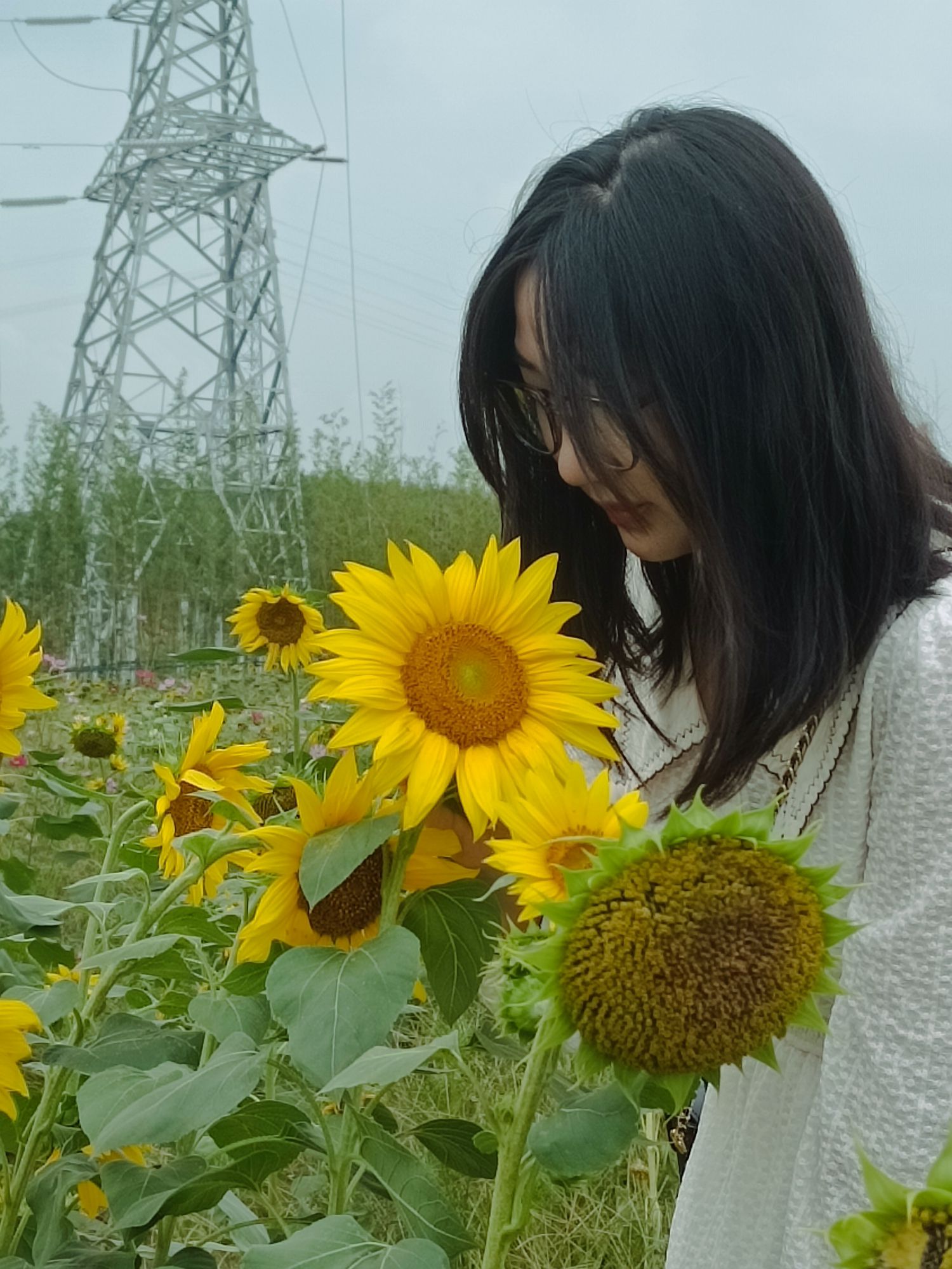 岷江花海旅行图片 1