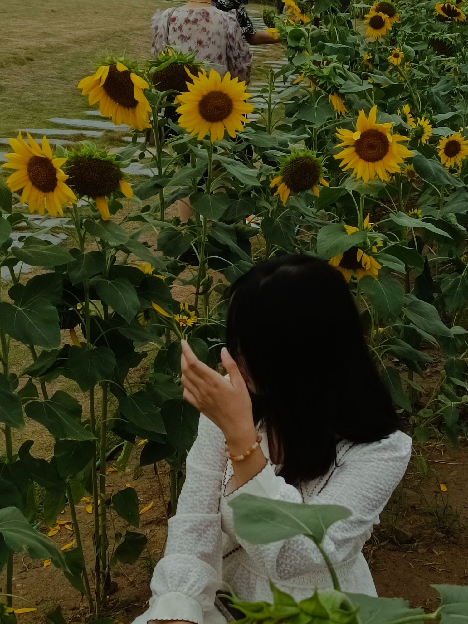 岷江花海旅行图片 3