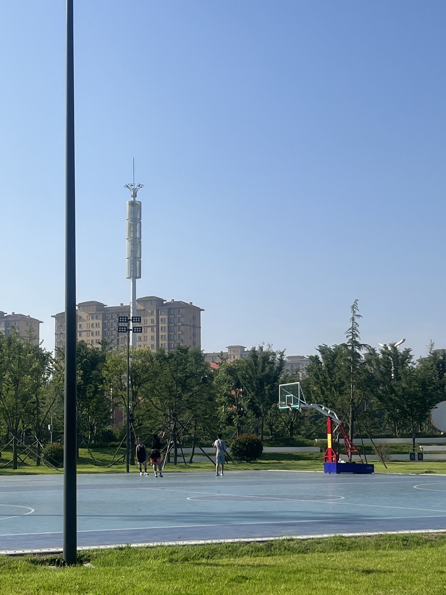城市中央公园旅行图片 2