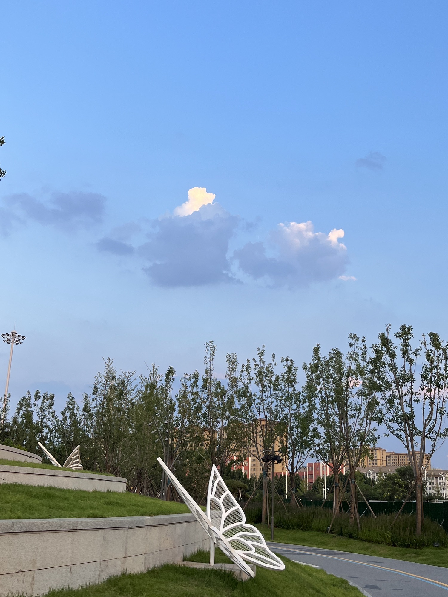 城市中央公园旅行图片 1