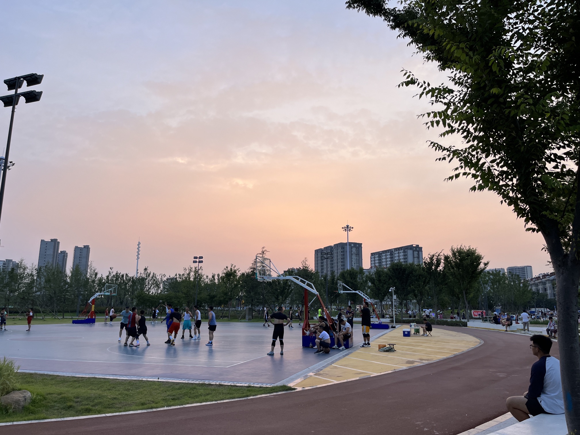 城市中央公园旅行图片 1