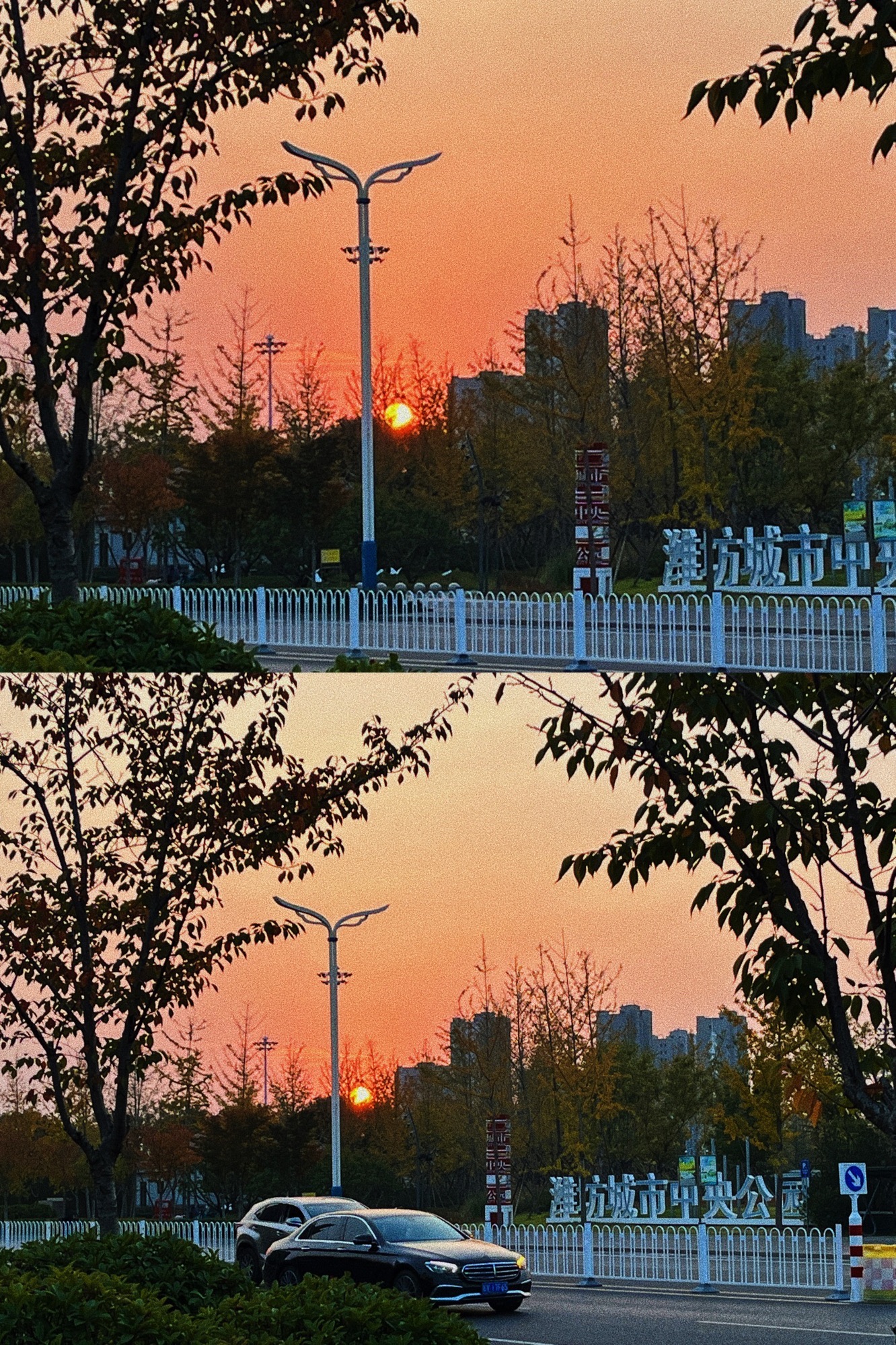 城市中央公园旅行图片 3