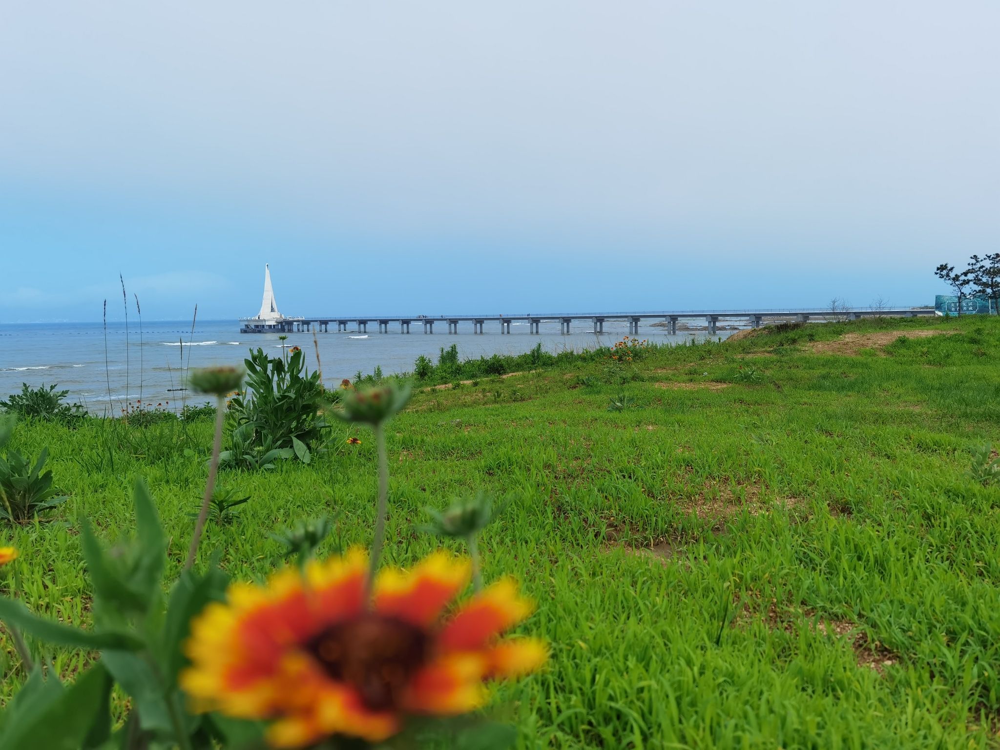 西海岸深蓝之光
