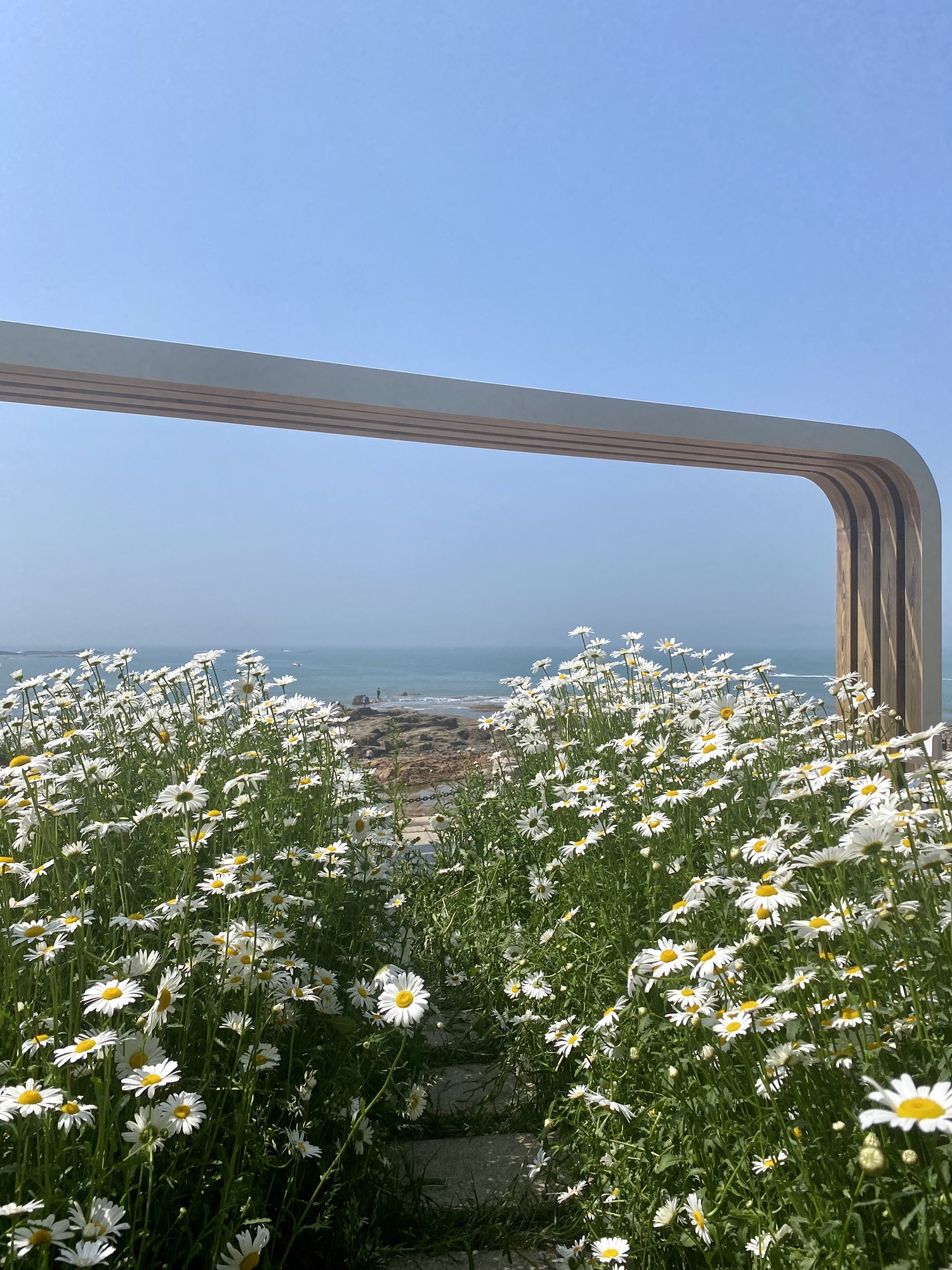青小园海遇园旅行图片 2