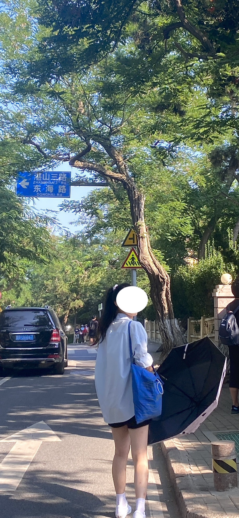 青小园海遇园旅行图片 1