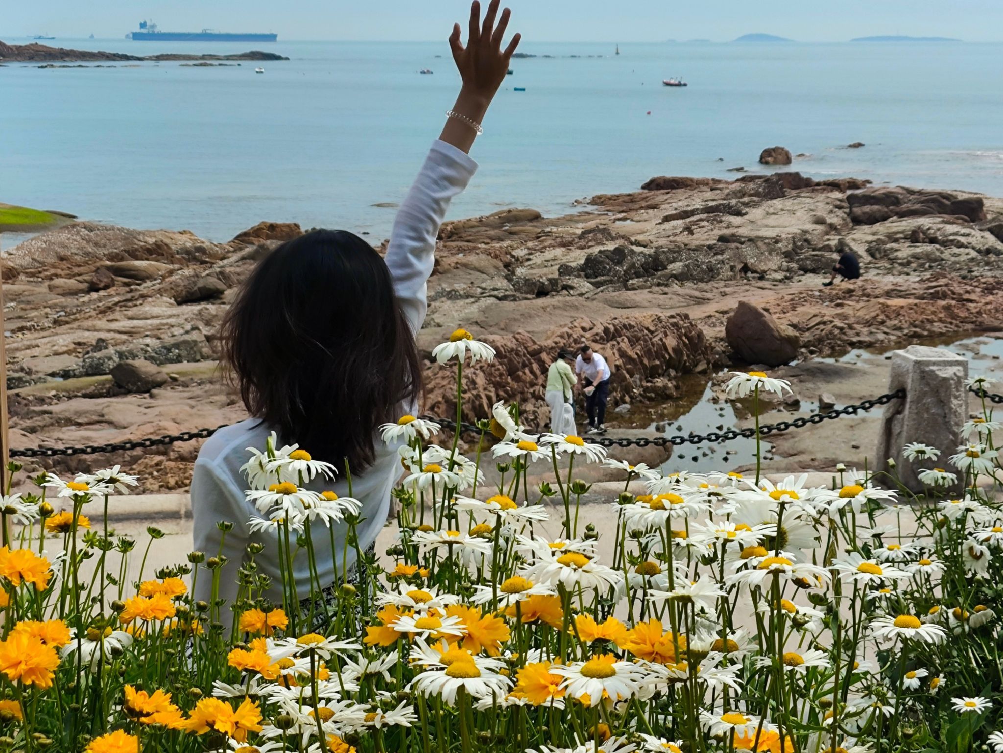 青小园海遇园旅行图片 1