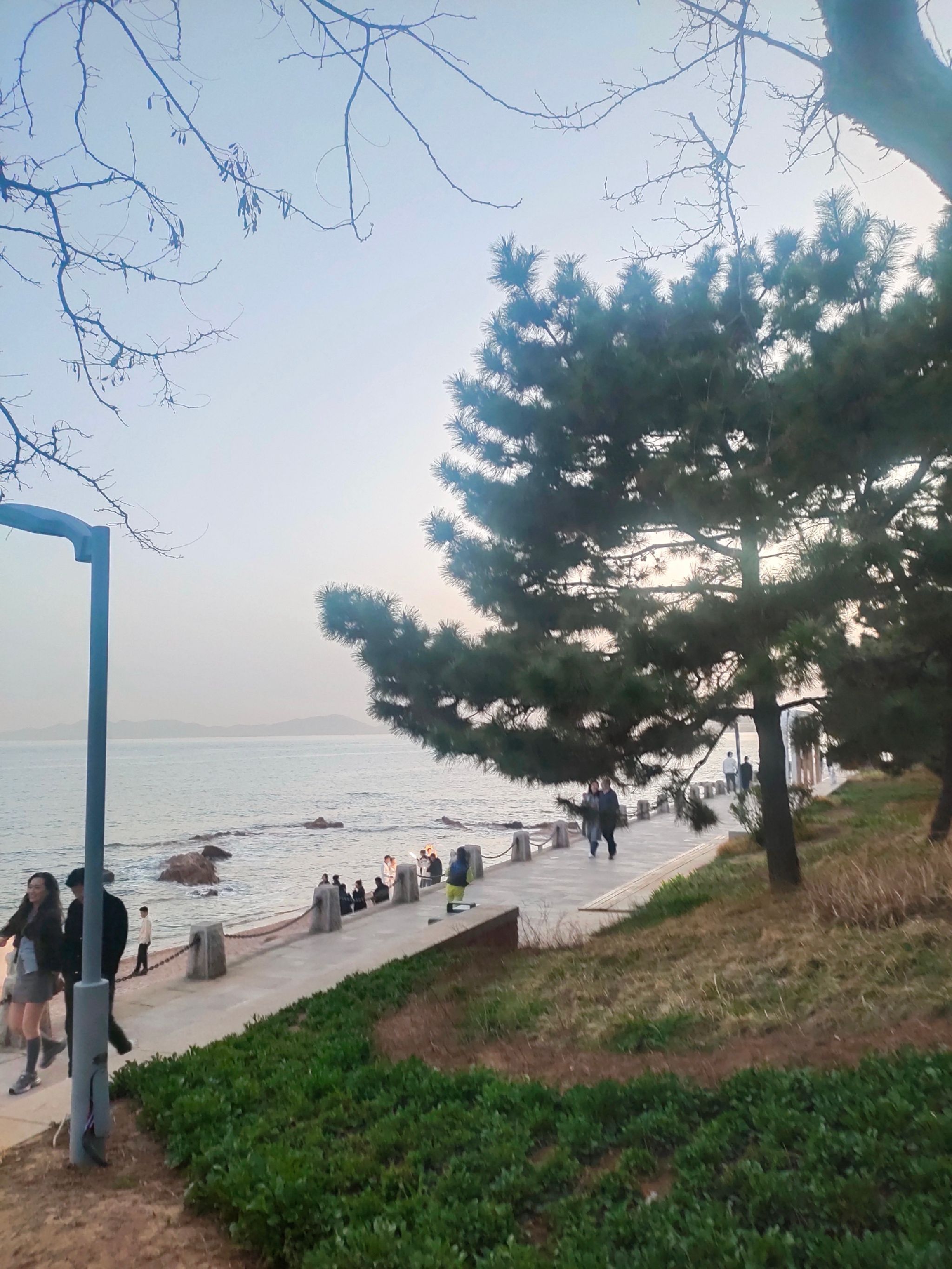 青小园海遇园旅行图片 2