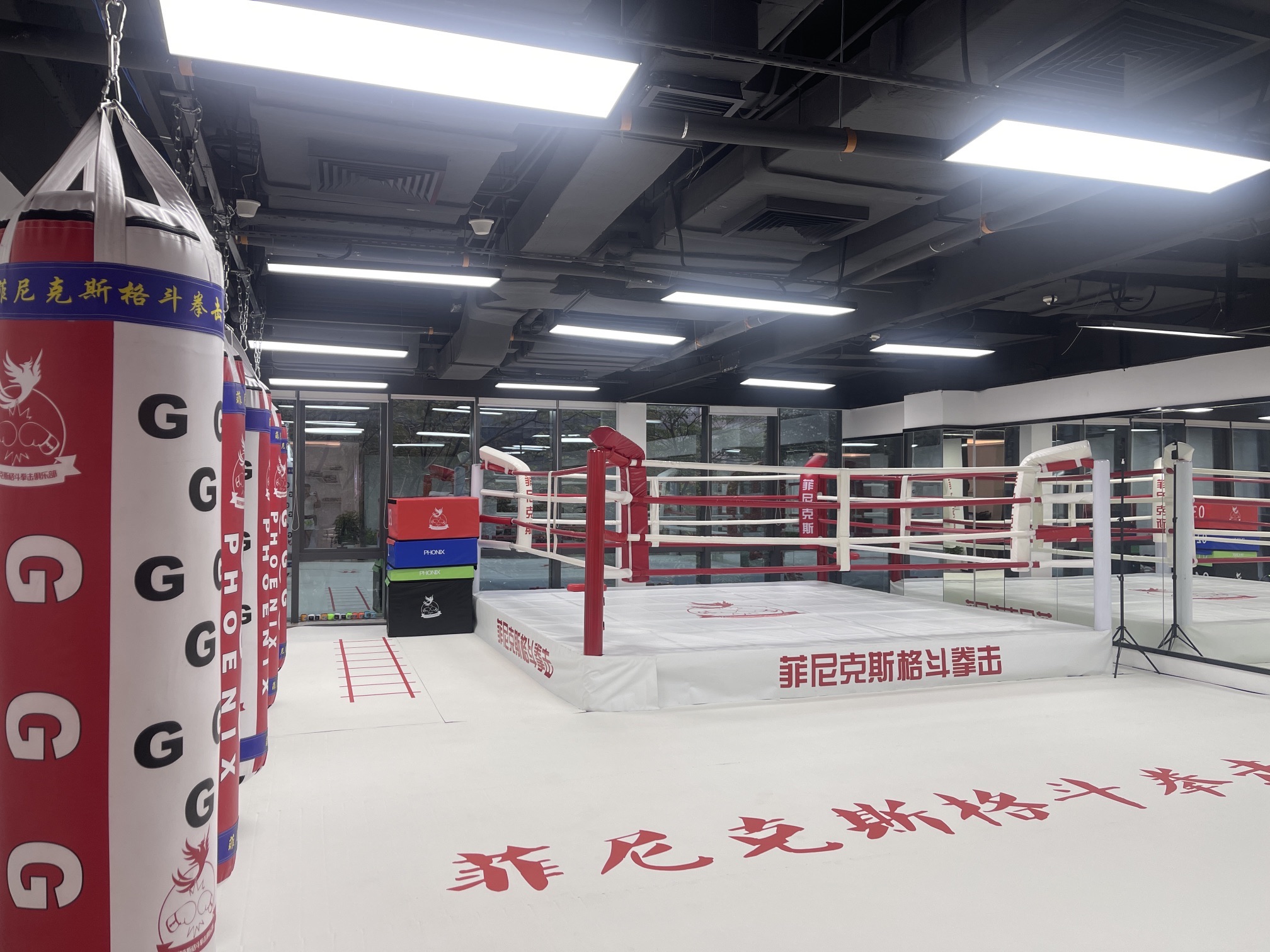 场地封面-菲尼克斯格斗拳击俱乐部