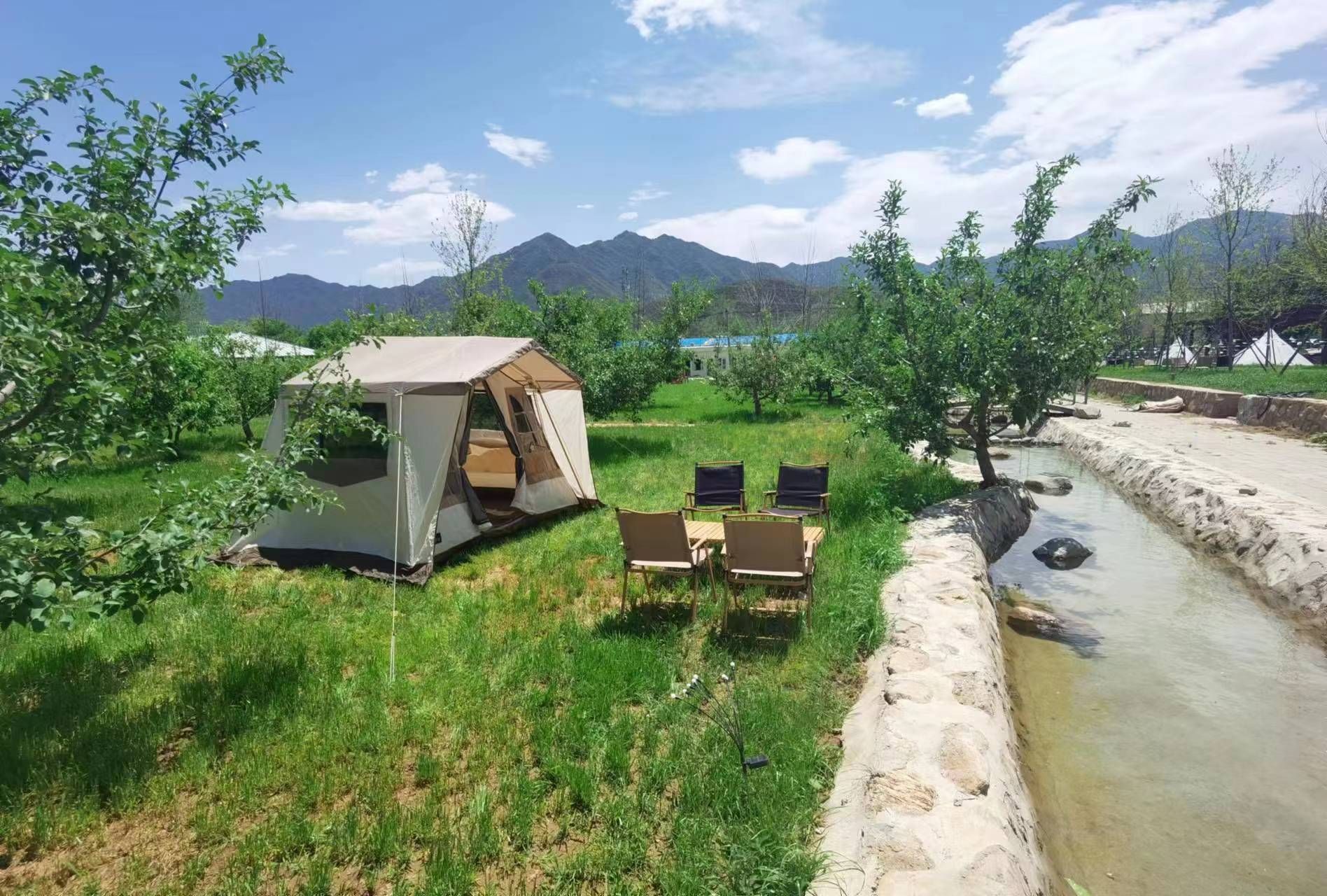 场地封面-野布丁露营庄园